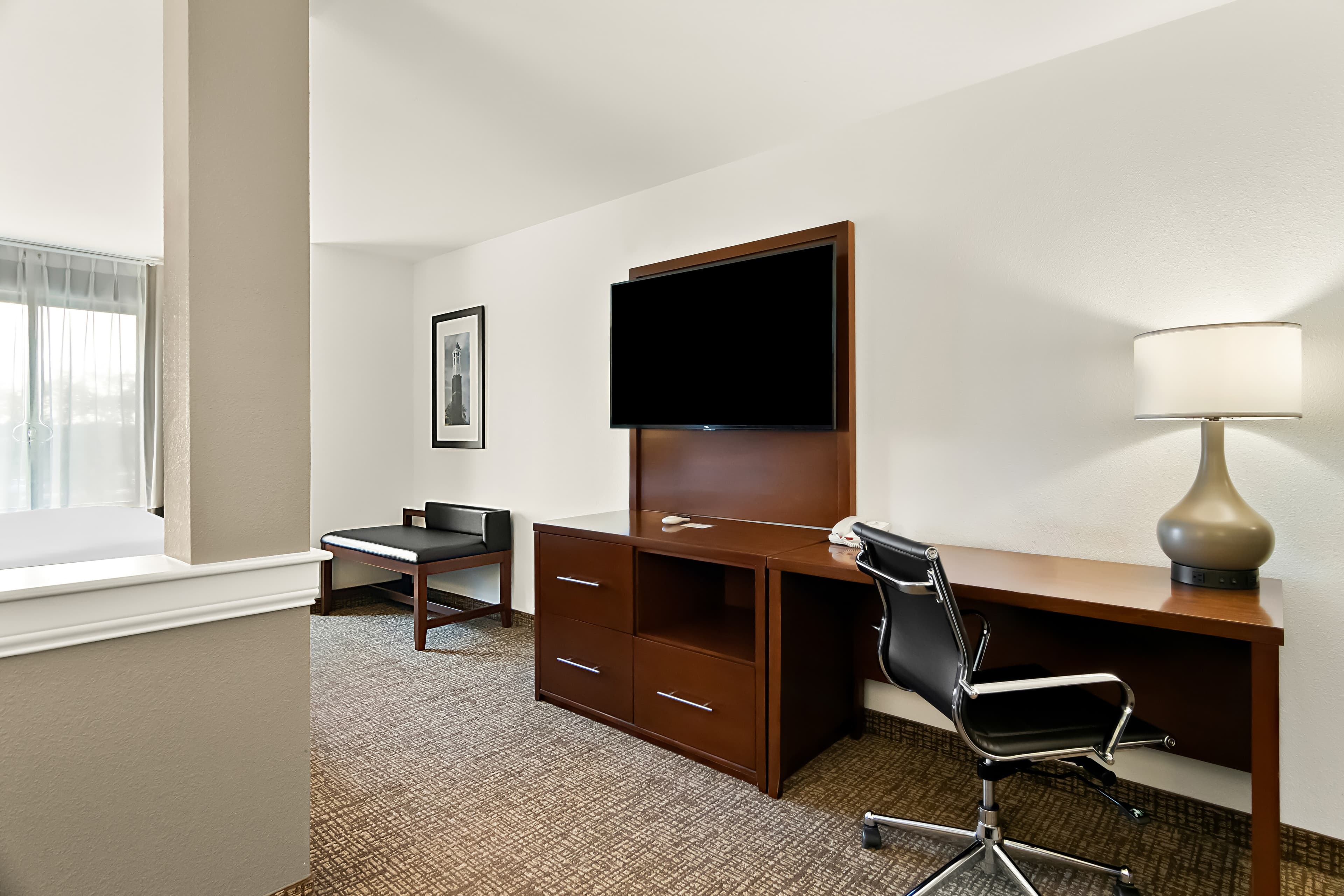 Comfort Suites Rensselaer near Fair Oaks - Image 5