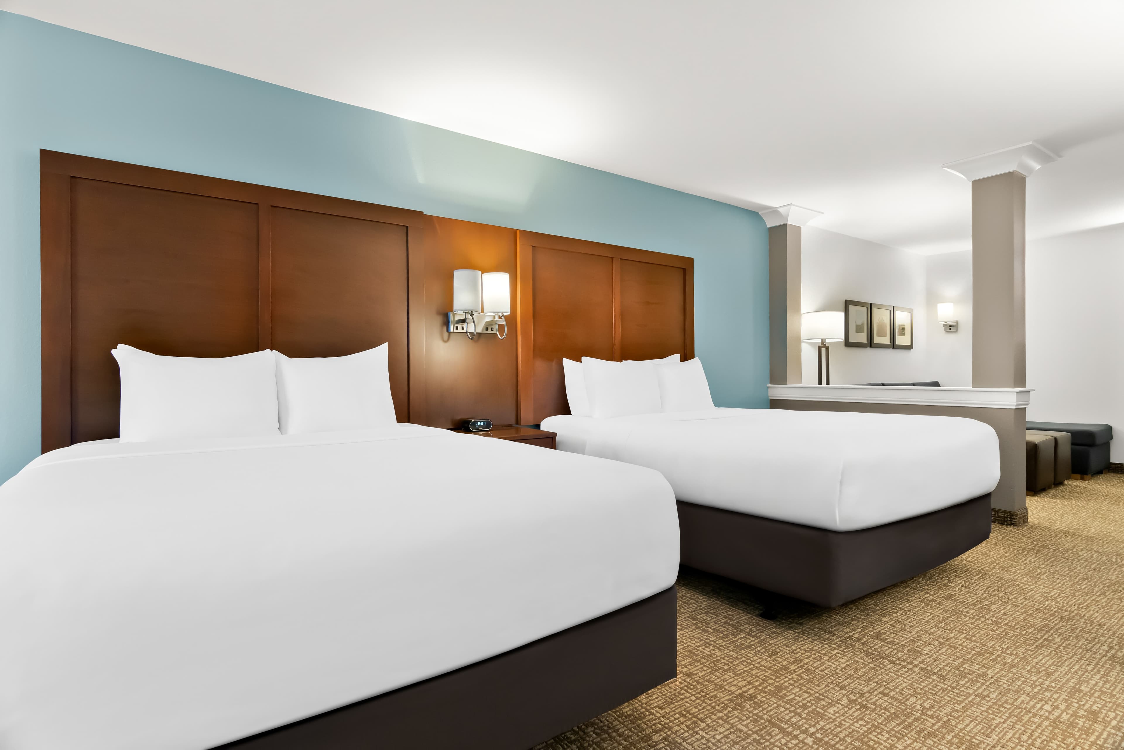 Comfort Suites Rensselaer near Fair Oaks — 19