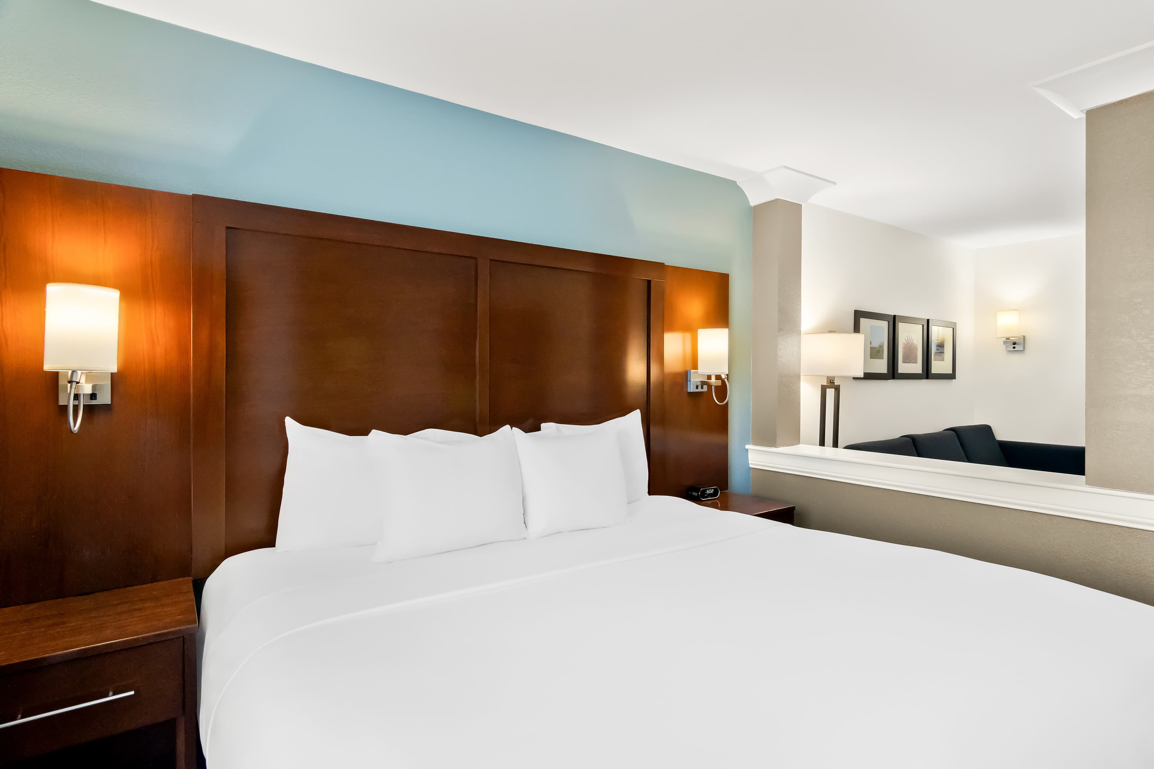 Comfort Suites Rensselaer near Fair Oaks — 28