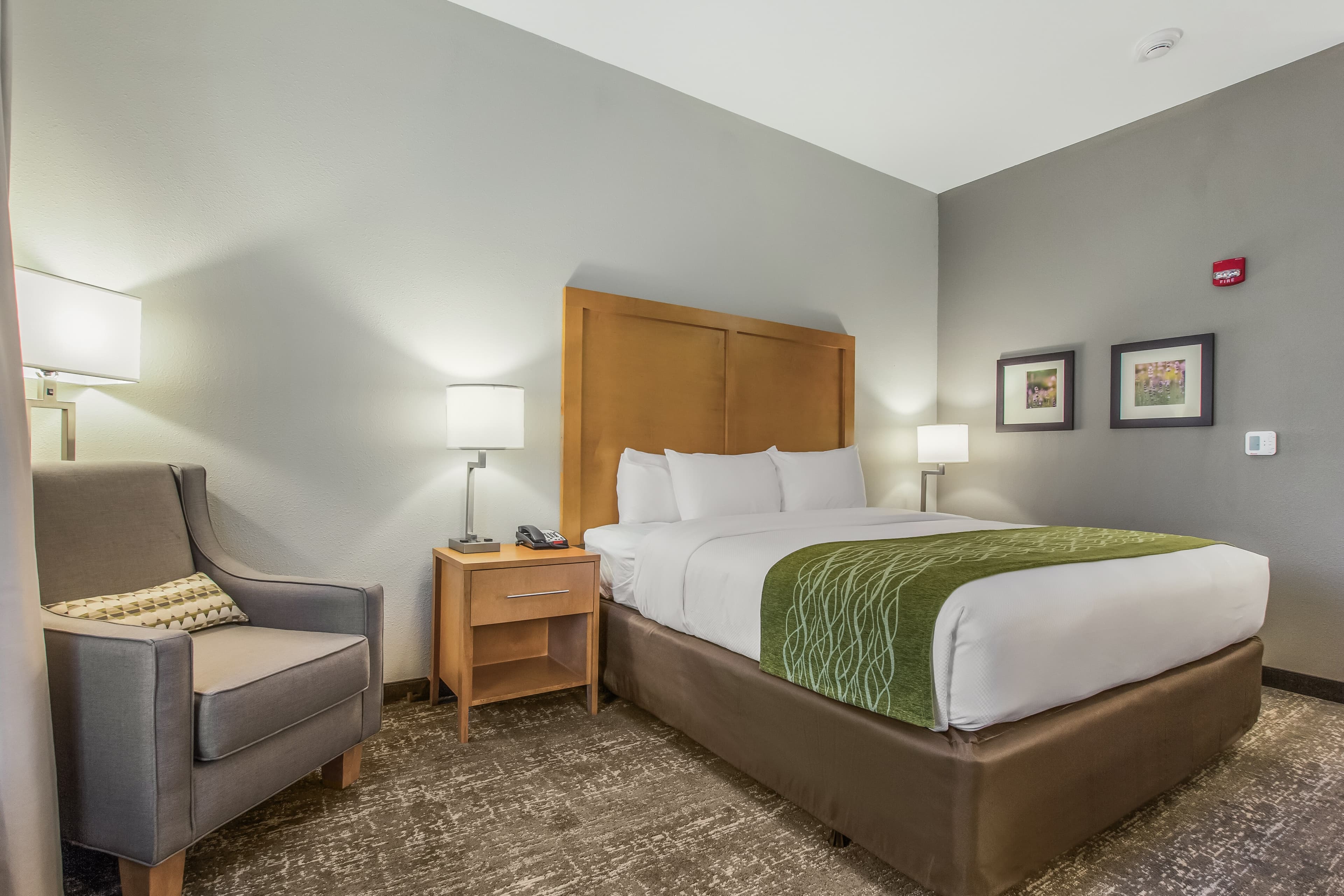Comfort Inn Jasper South - Image 3