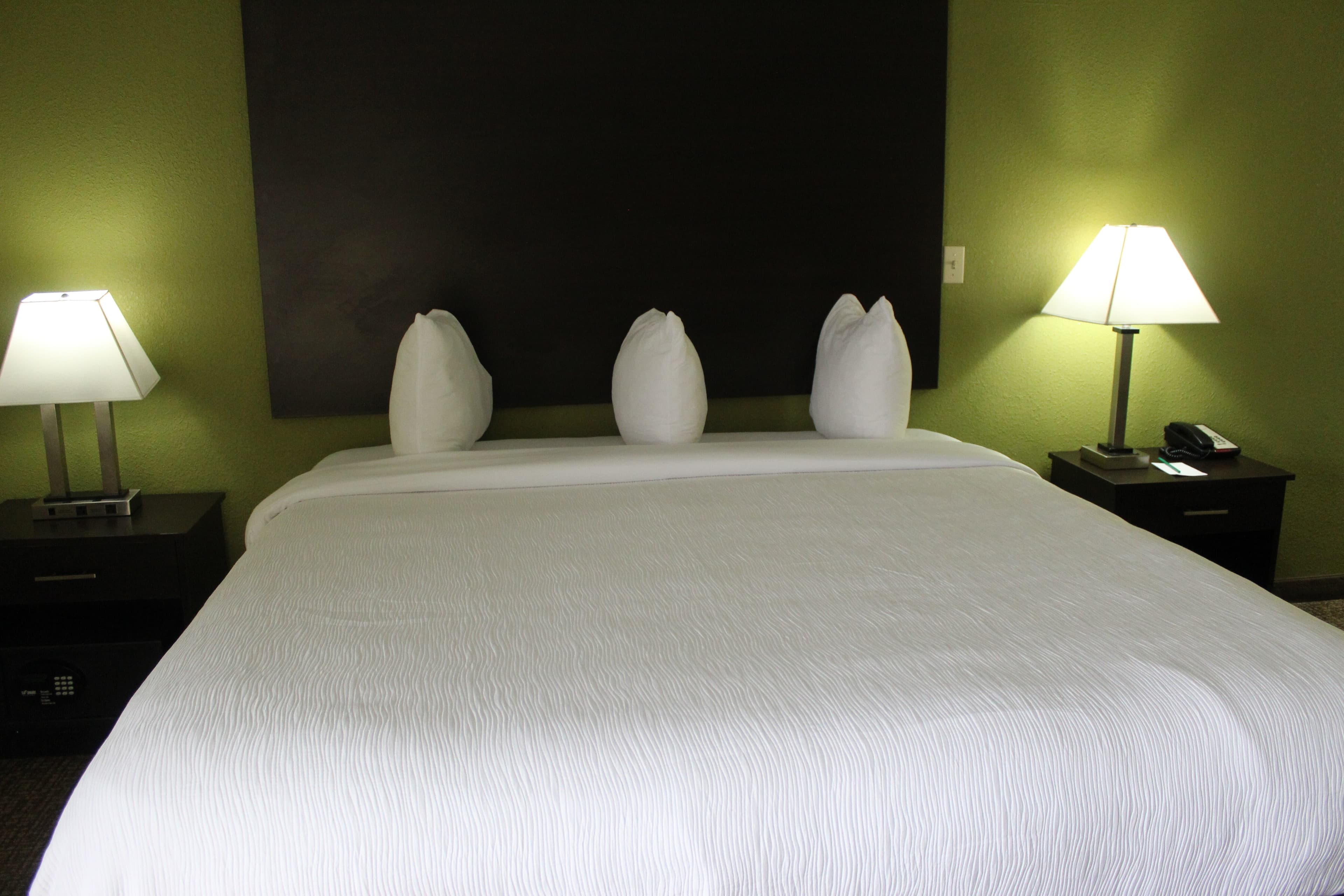 Quality Inn & Suites University Area - Image 3