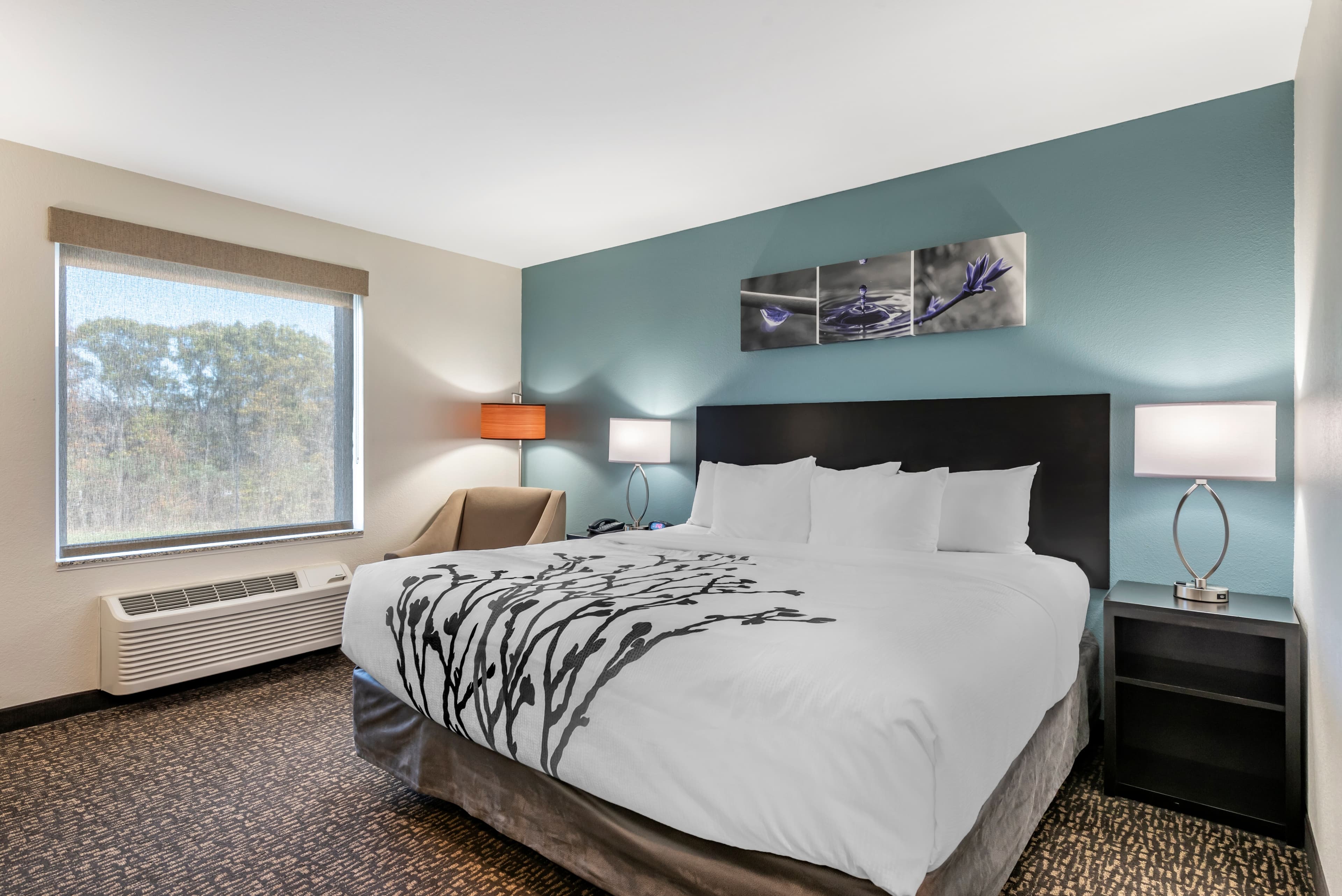 Sleep Inn Newberry - Crane - Image 3