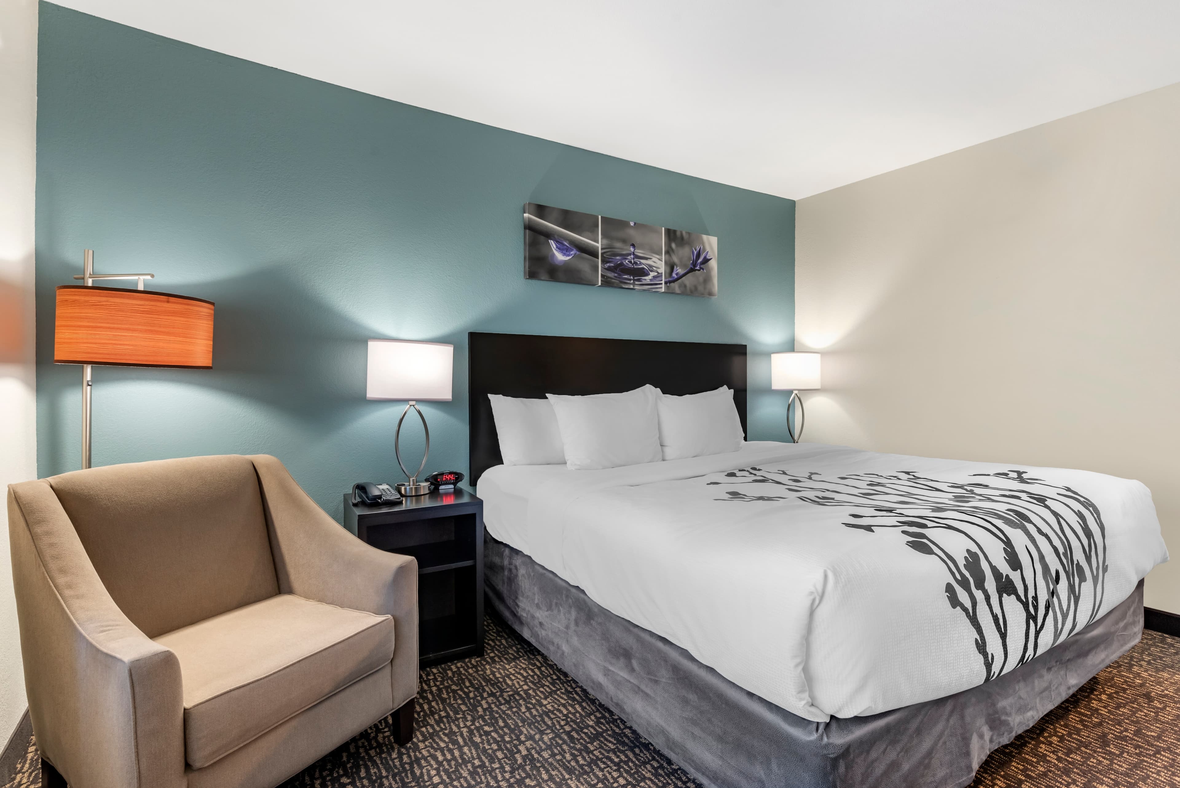 Sleep Inn Newberry - Crane - Image 5