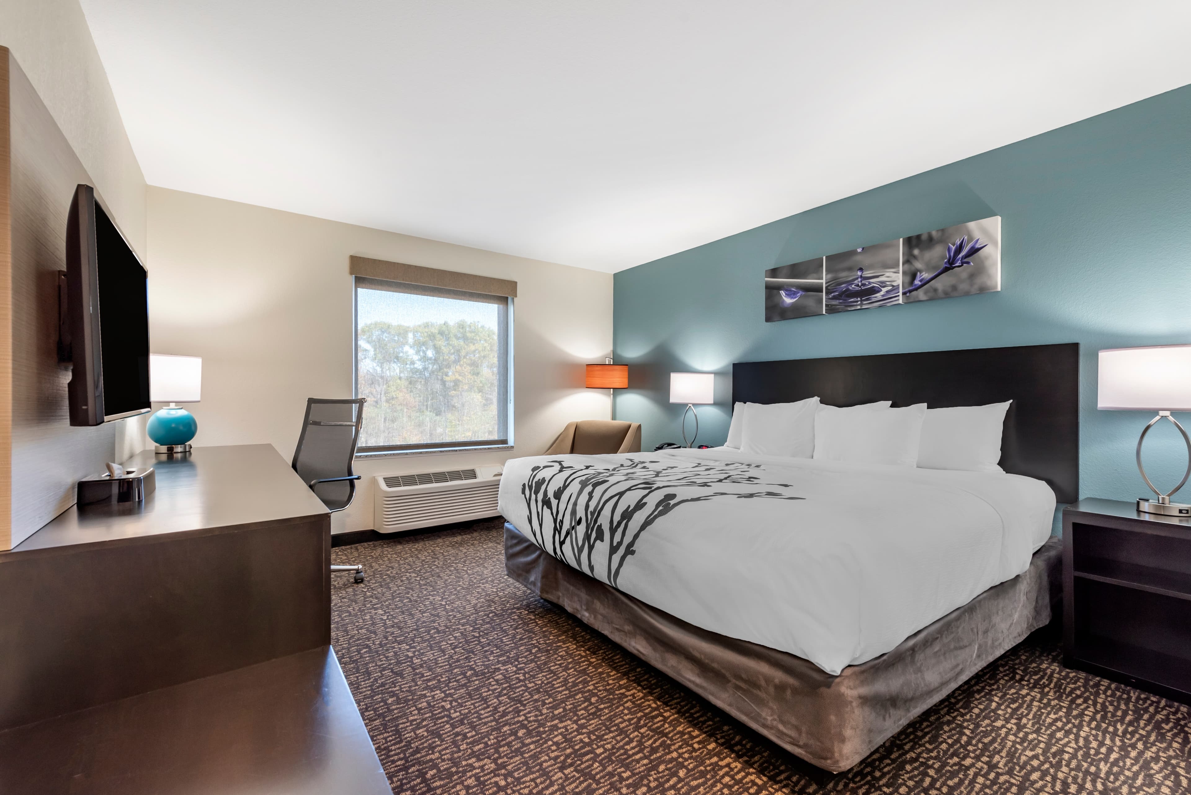 Sleep Inn Newberry - Crane — 6