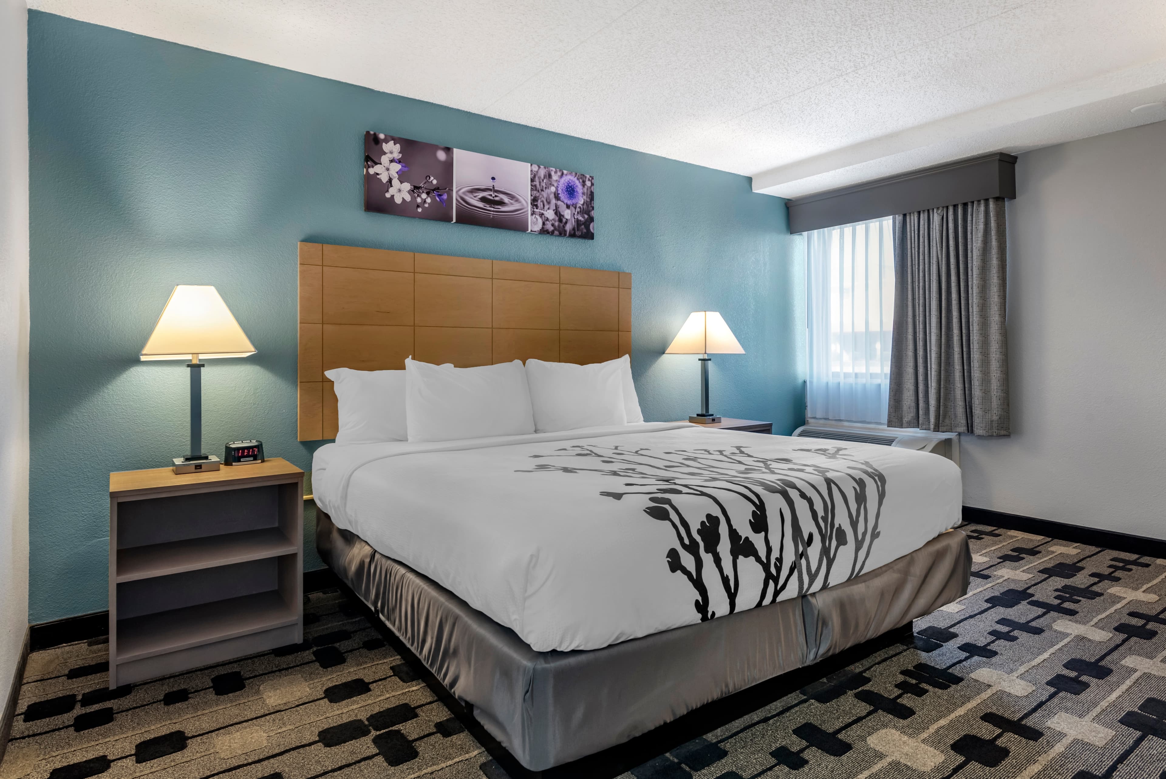 Sleep Inn Terre Haute University Area - Image 2