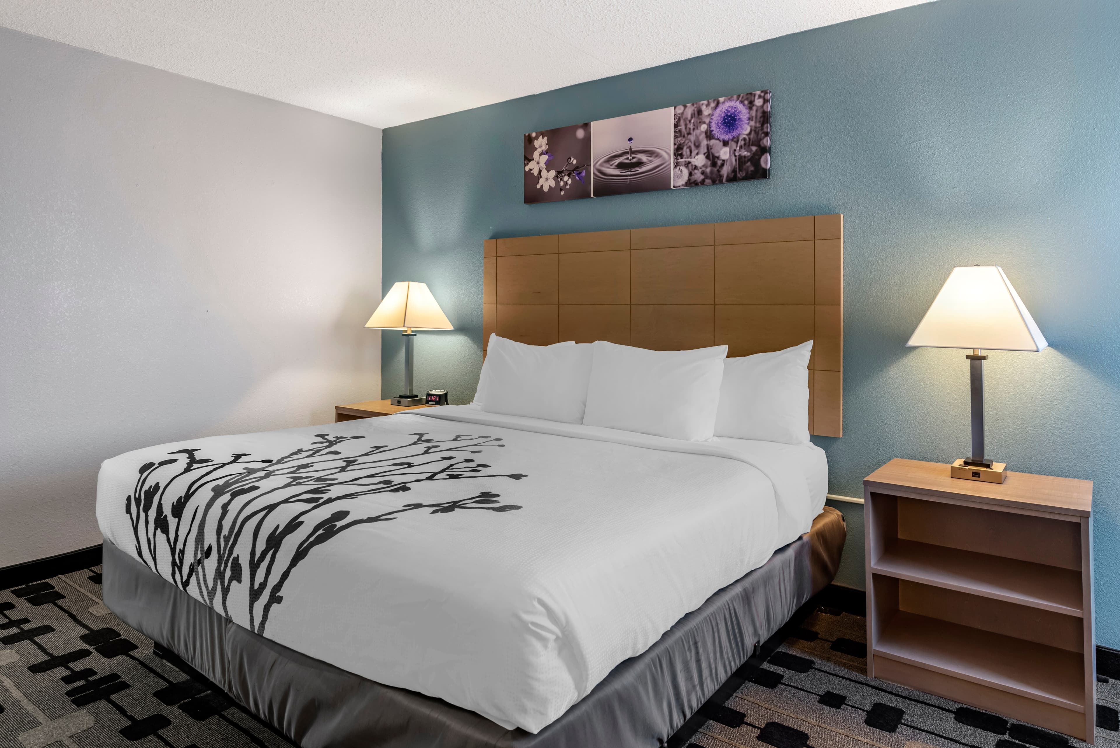 Sleep Inn Terre Haute University Area - Image 4