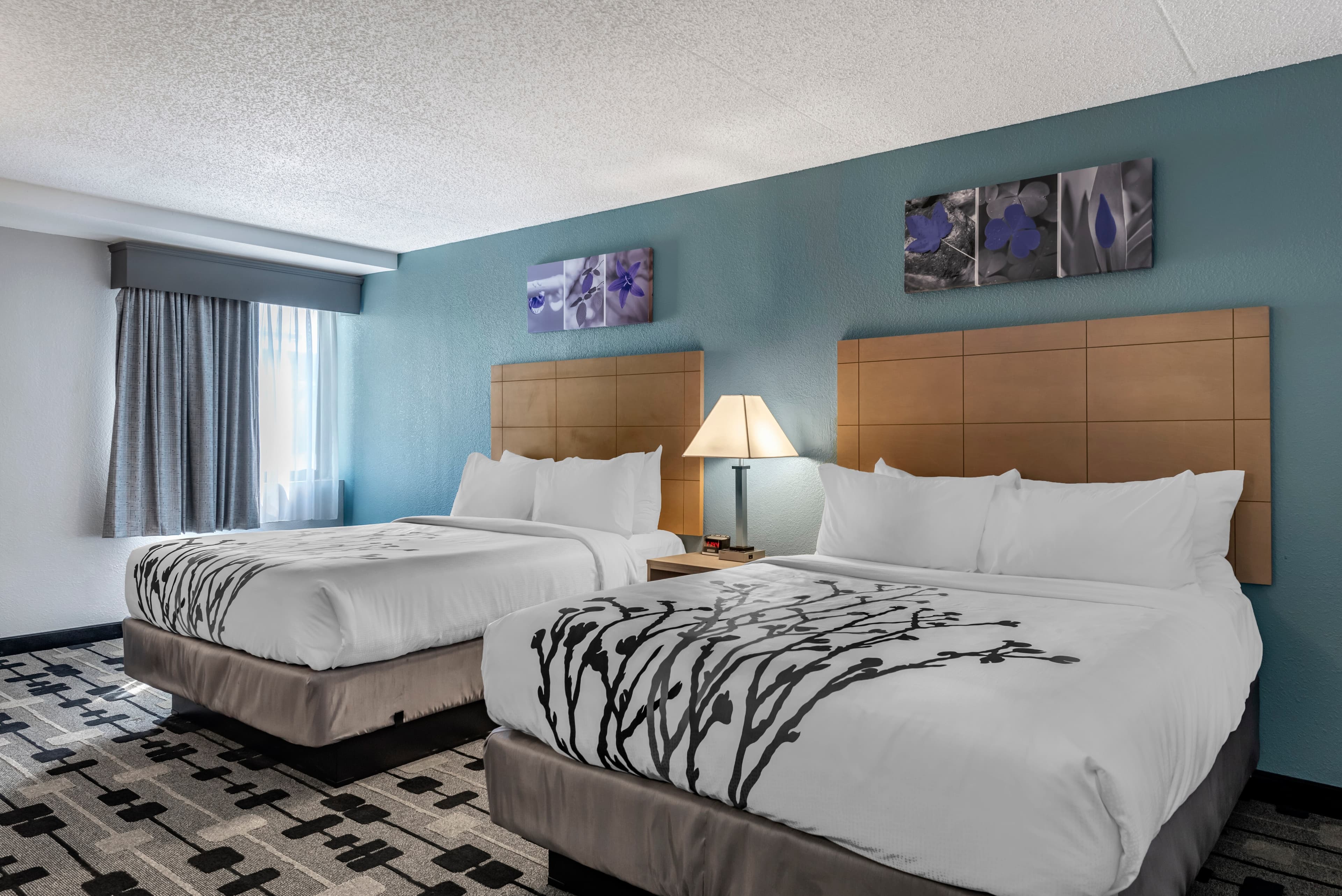 Sleep Inn Terre Haute University Area — 14