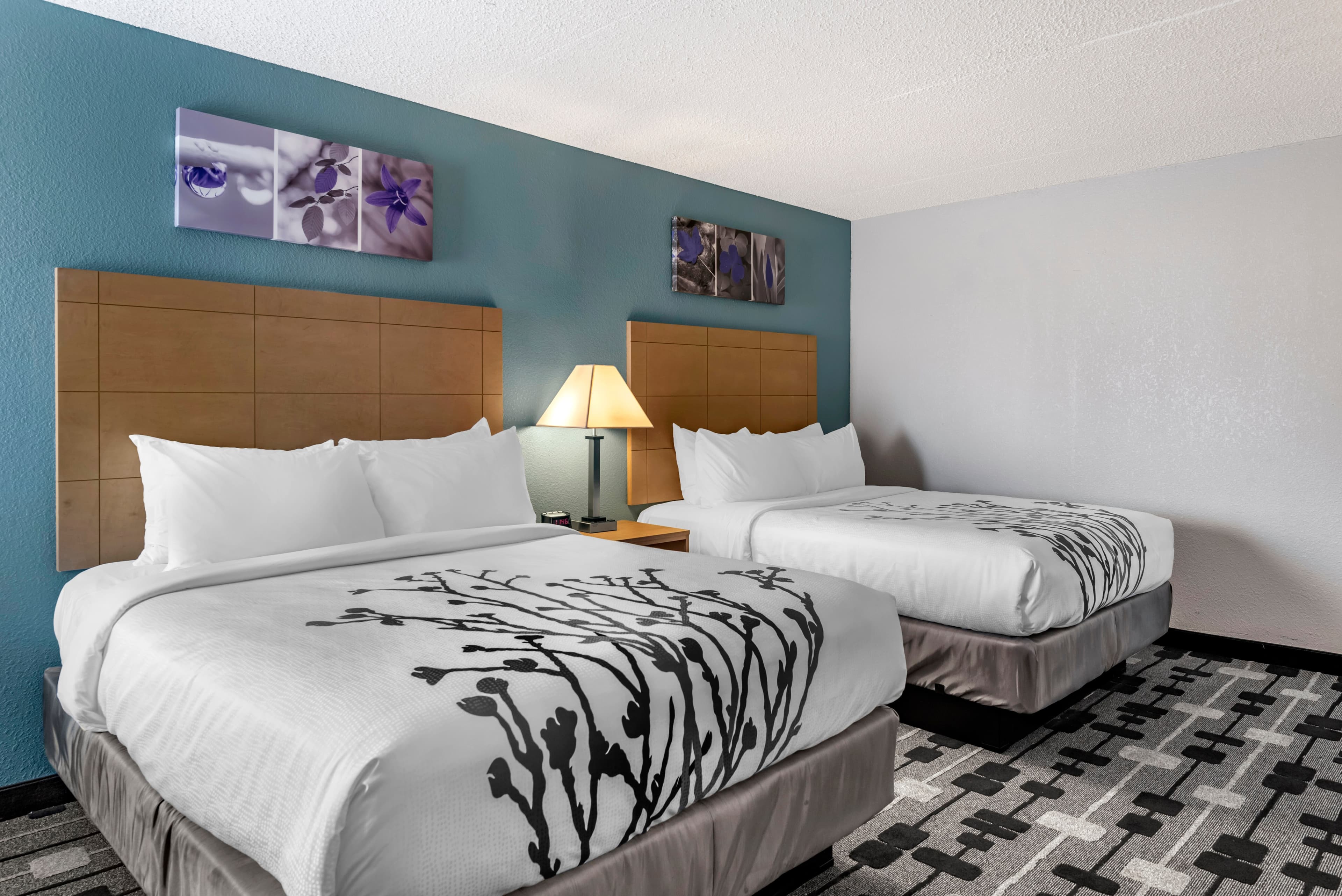 Sleep Inn Terre Haute University Area — 16