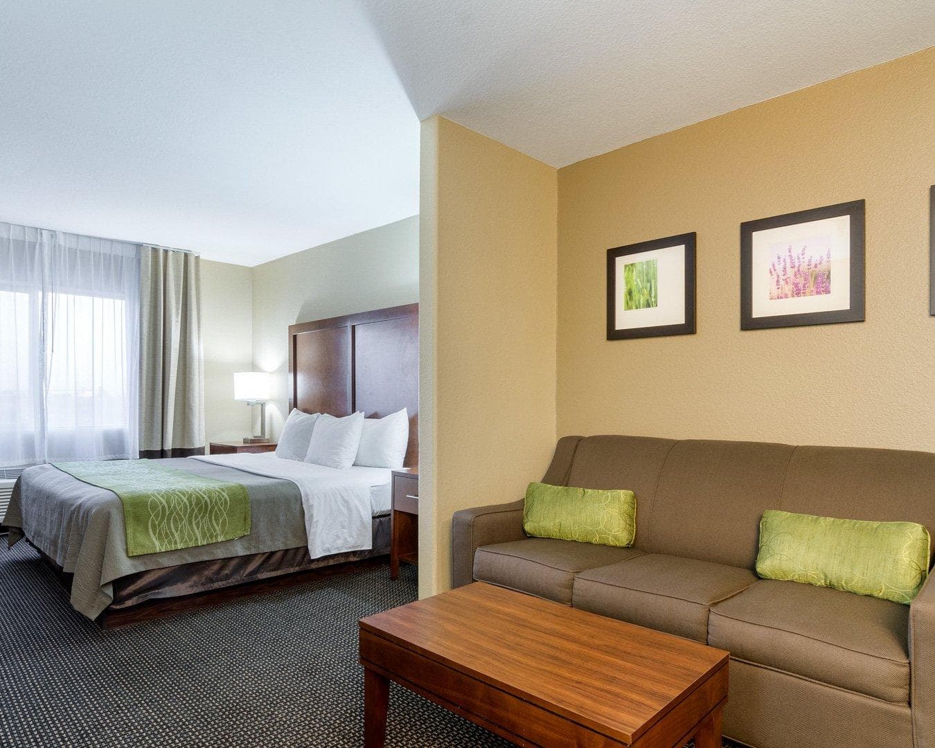 Comfort Inn Garden City — 7