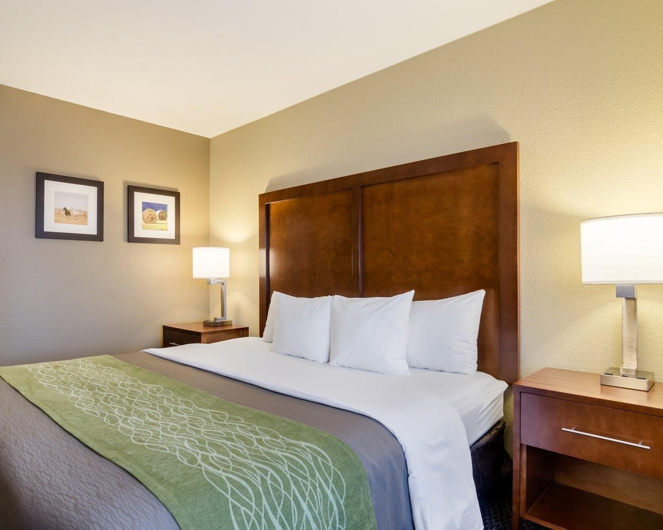 Comfort Inn Garden City — 10