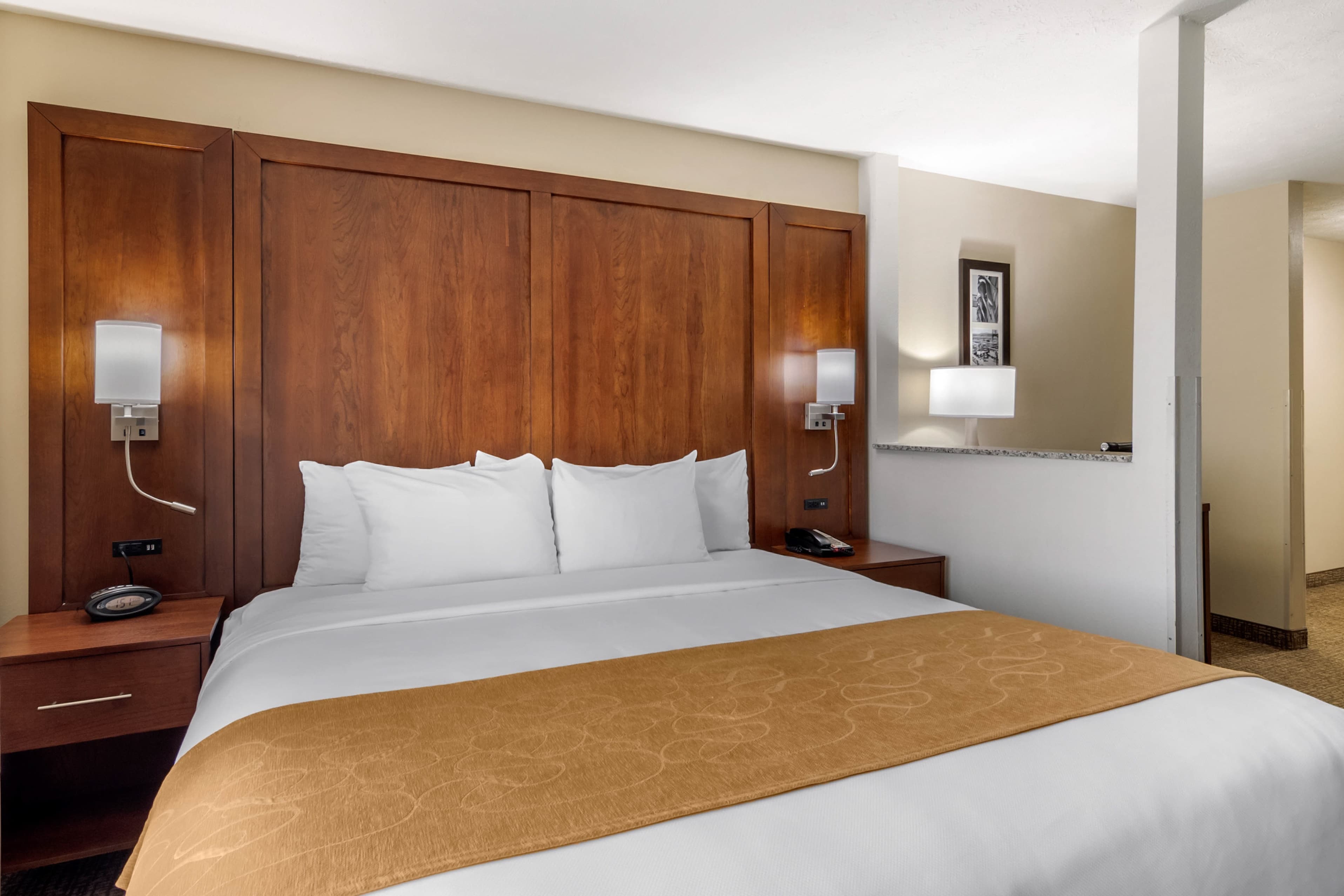 Comfort Suites Speedway - Kansas City — 13