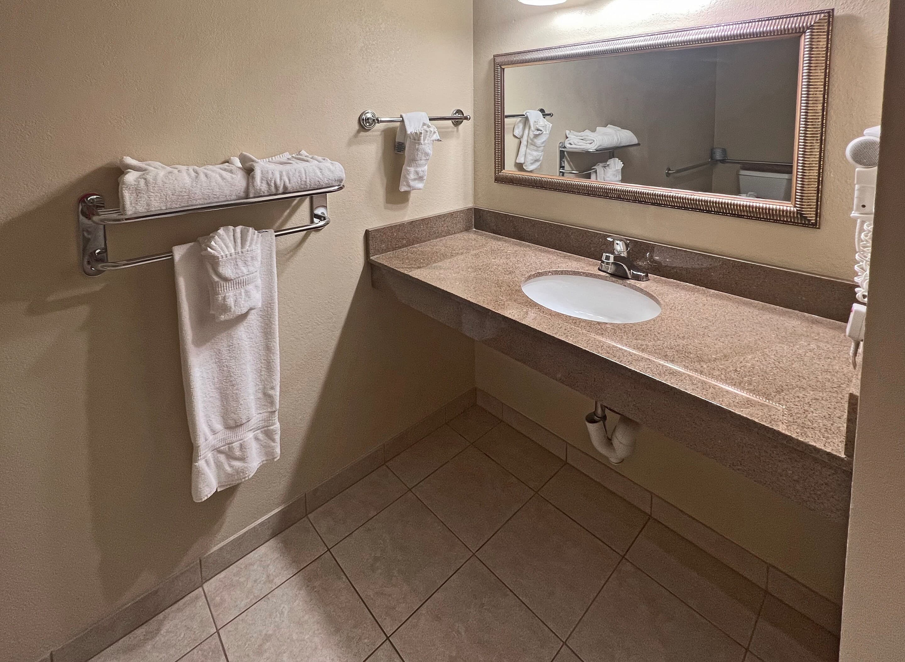 Clarion Inn Garden City — 9
