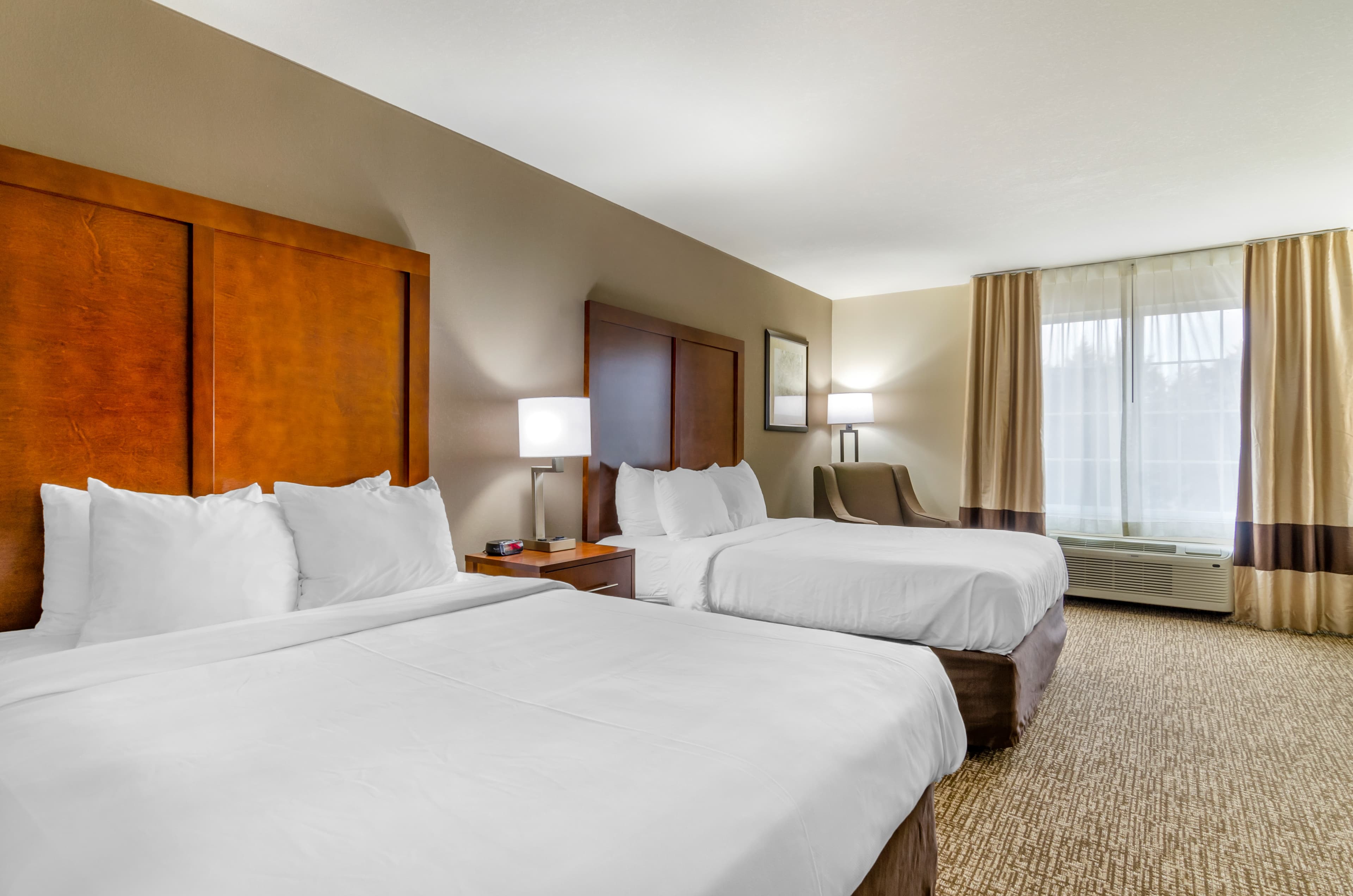 Comfort Inn & Suites near Bethel College — 7