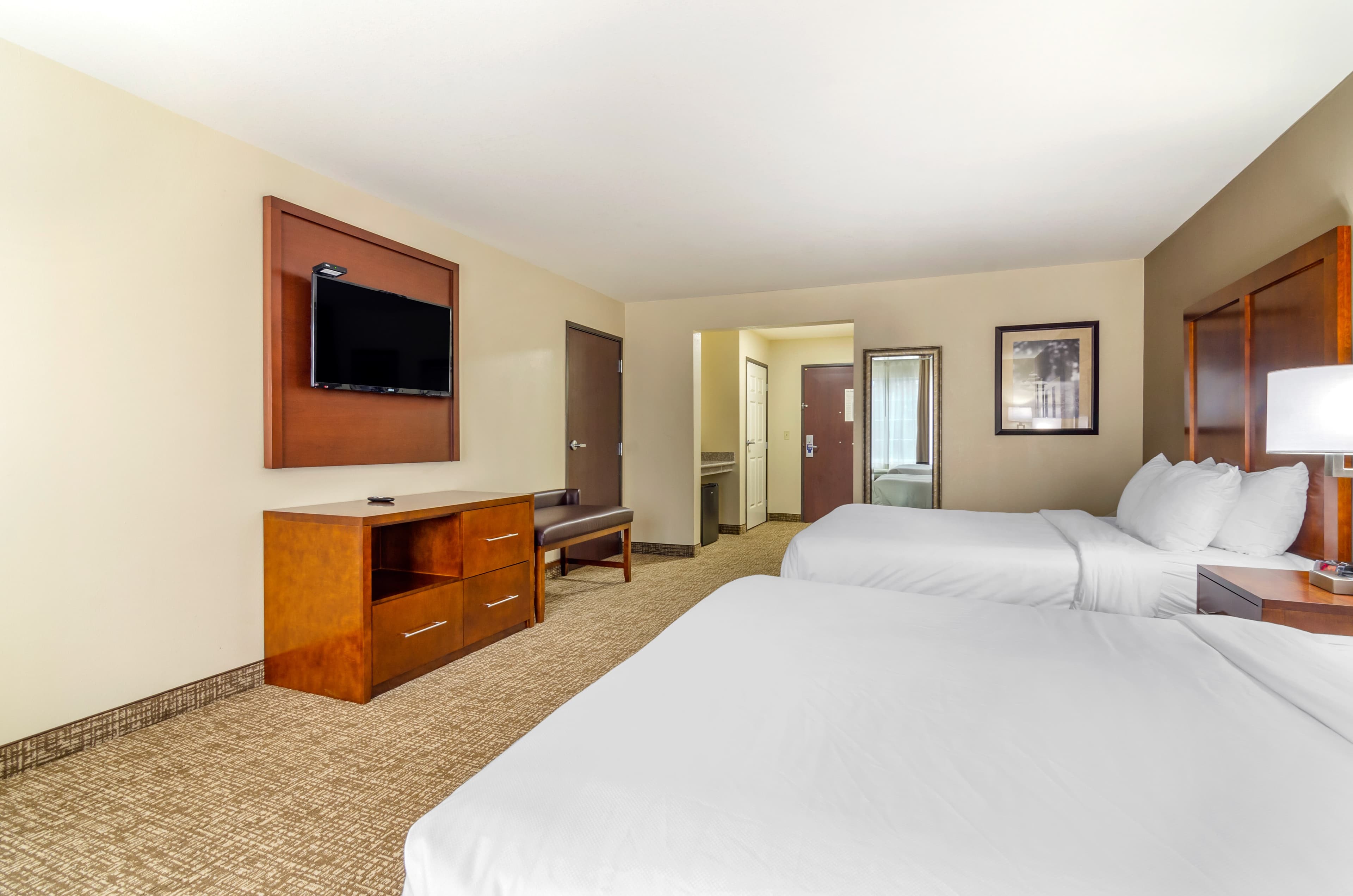 Comfort Inn & Suites near Bethel College — 9