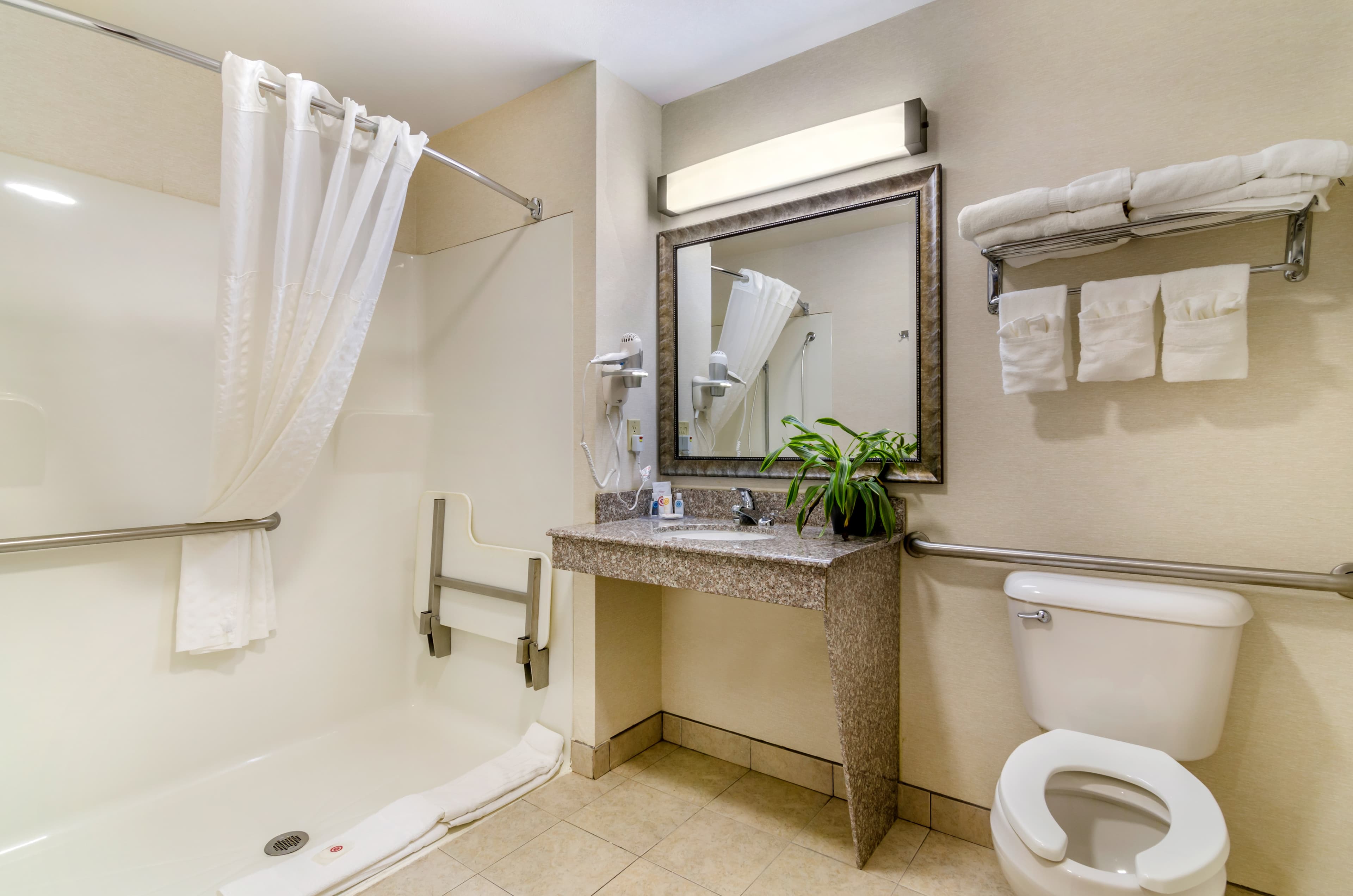Comfort Inn & Suites near Bethel College — 11