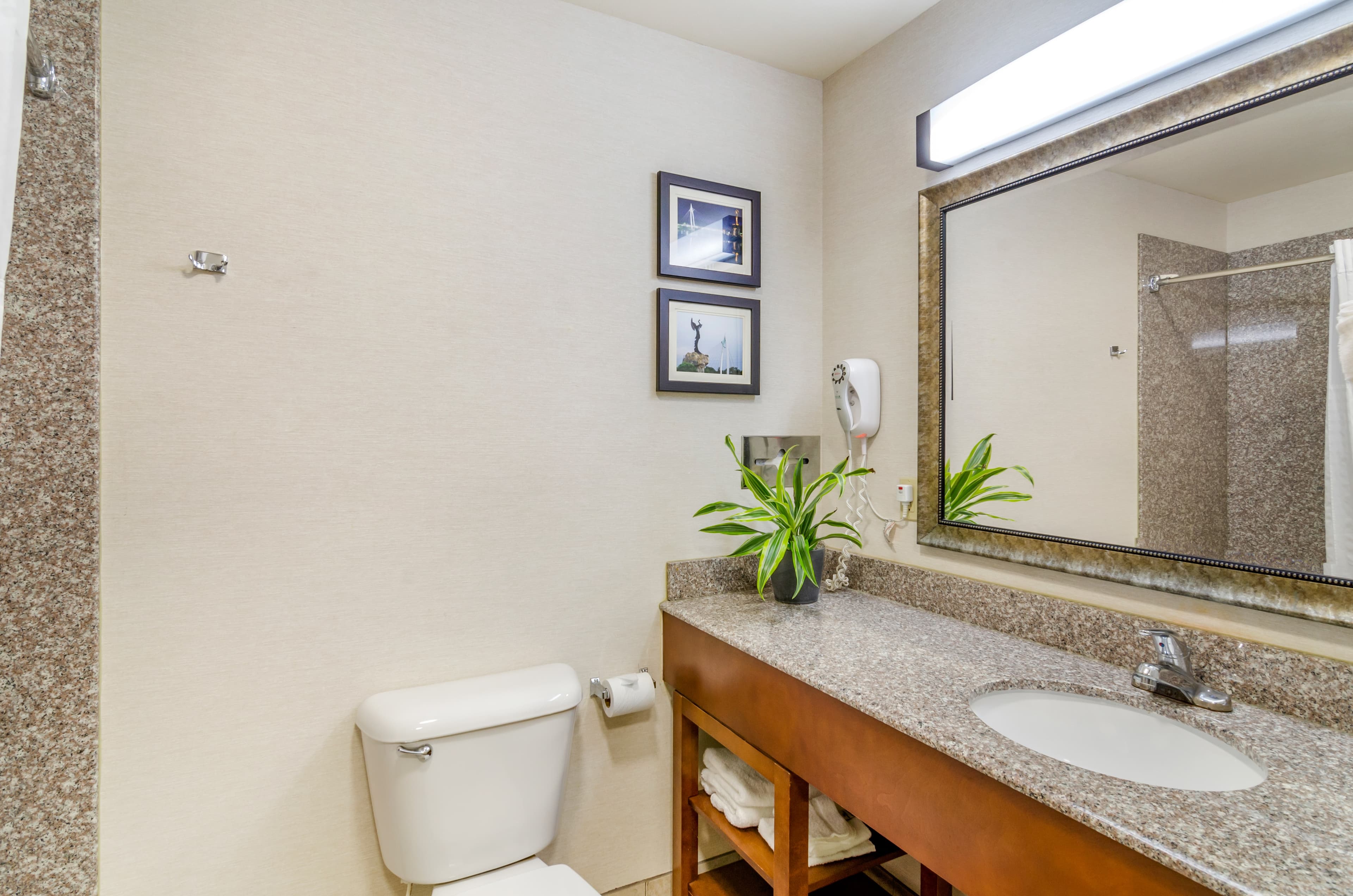 Comfort Inn & Suites near Bethel College — 6