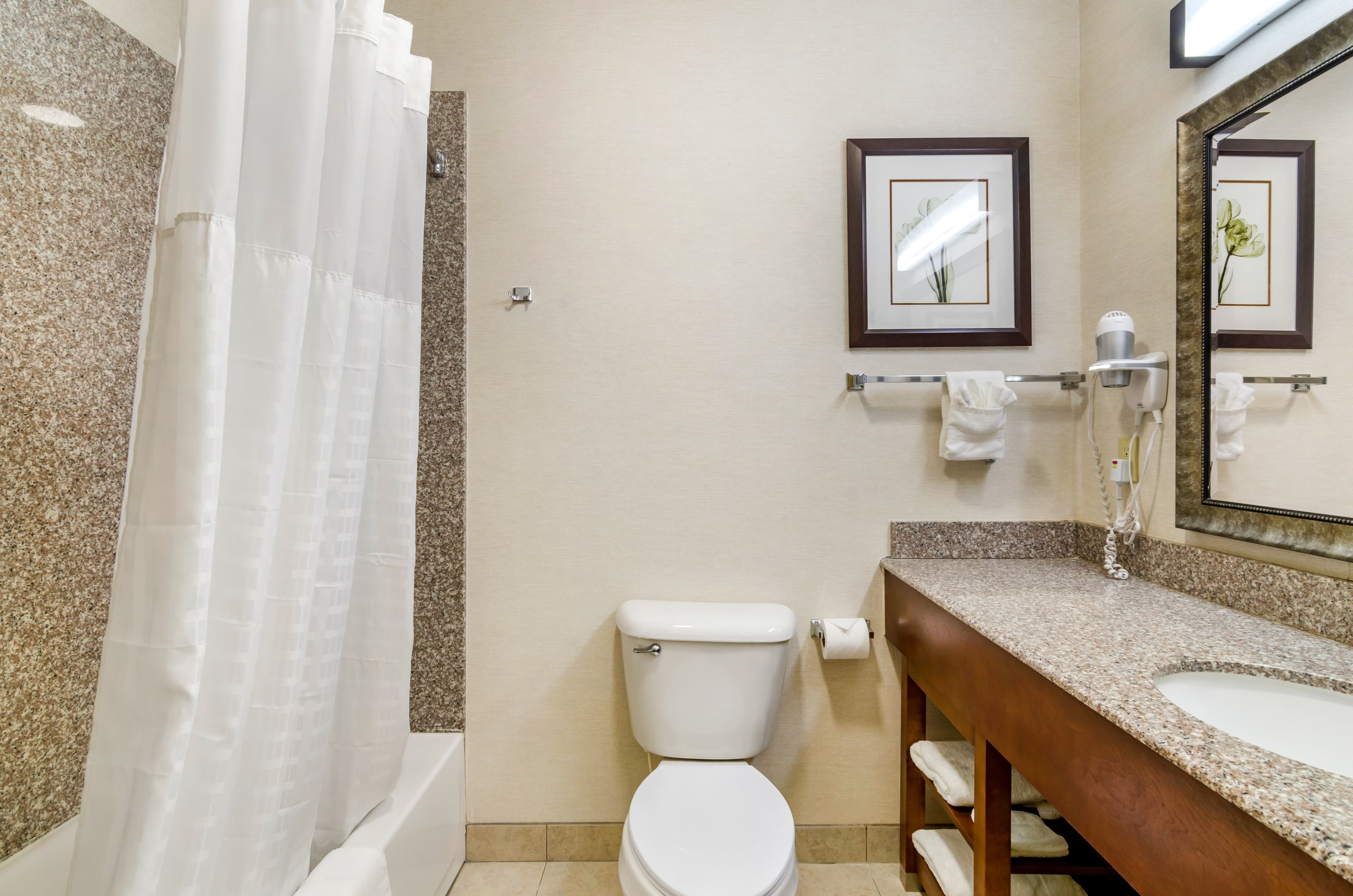 Comfort Inn & Suites near Bethel College — 23
