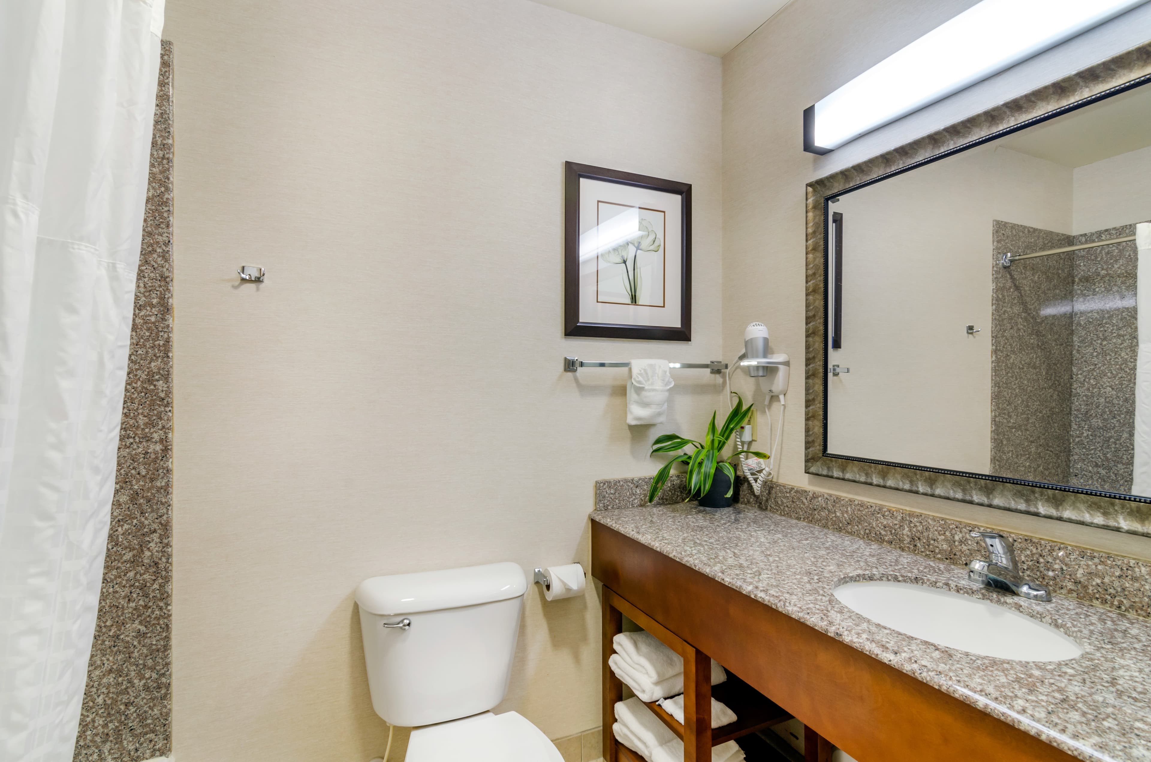 Comfort Inn & Suites near Bethel College — 31
