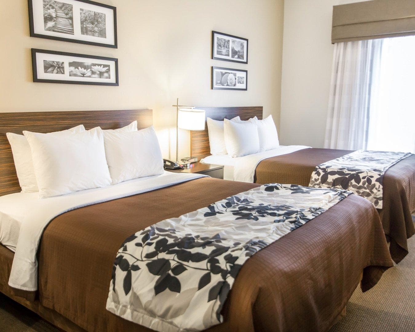Sleep Inn & Suites Norton — 14