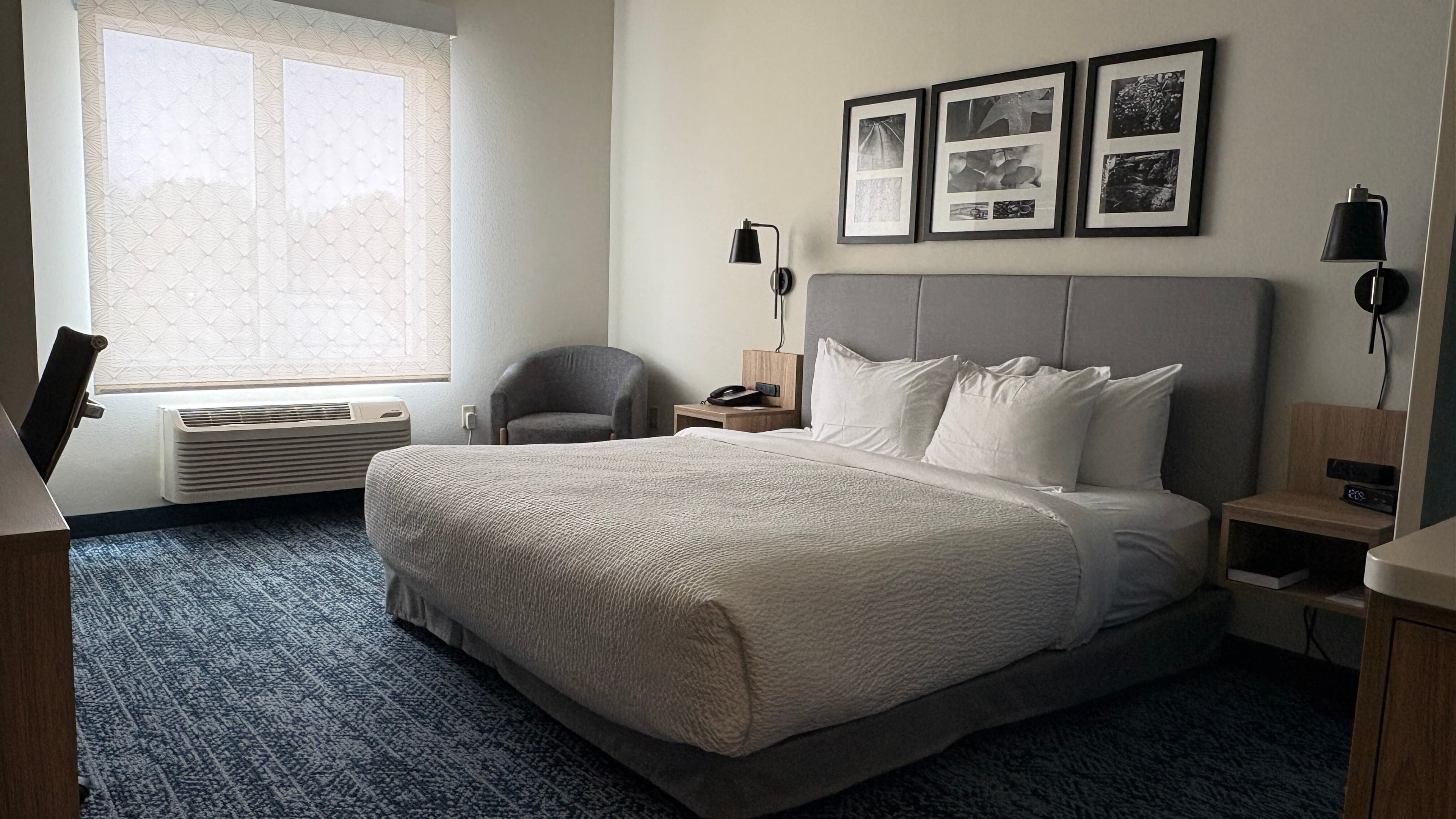 1 King Bed, Mobility and Hearing Accessible - Image 2