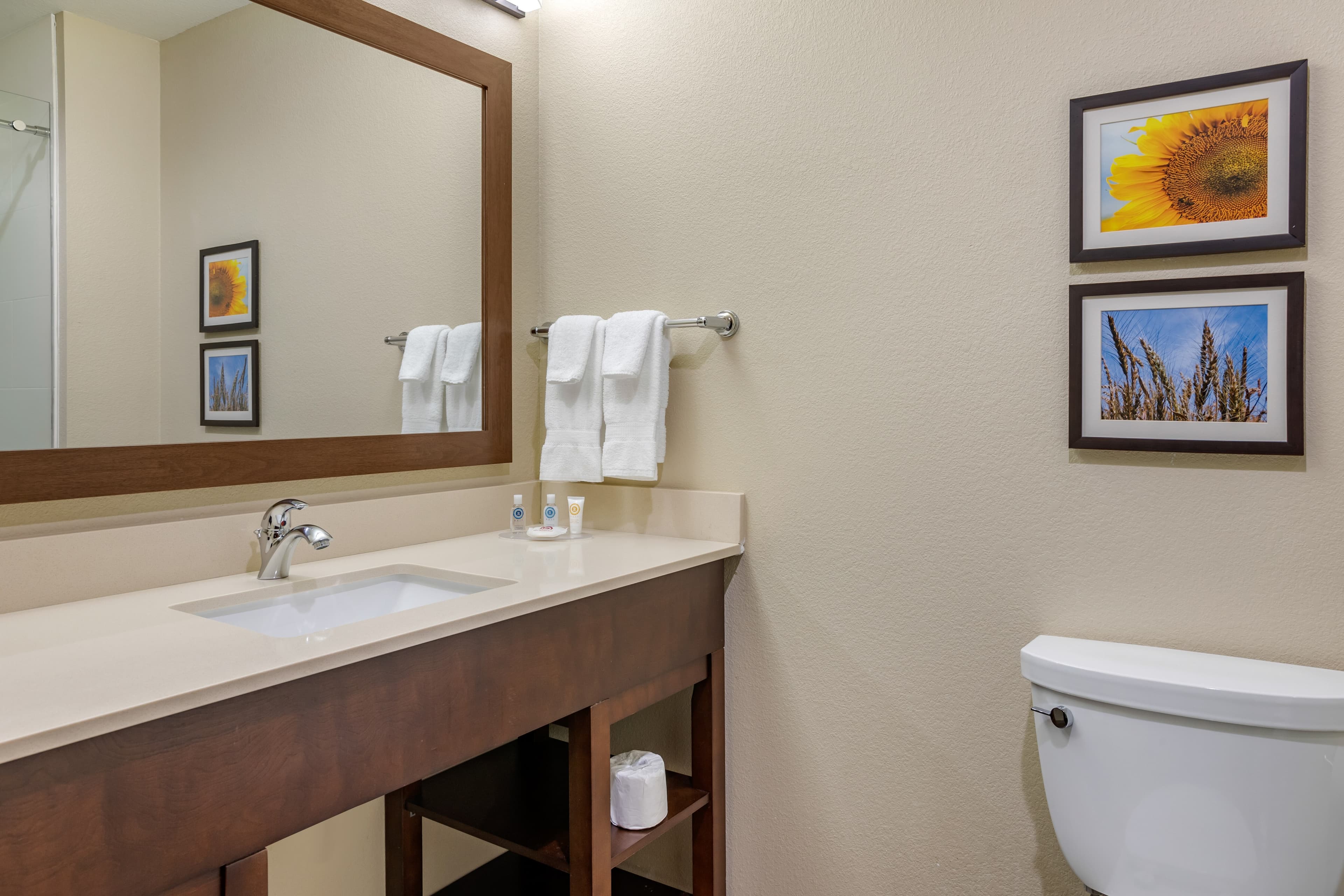 Comfort Inn & Suites Augusta — 12