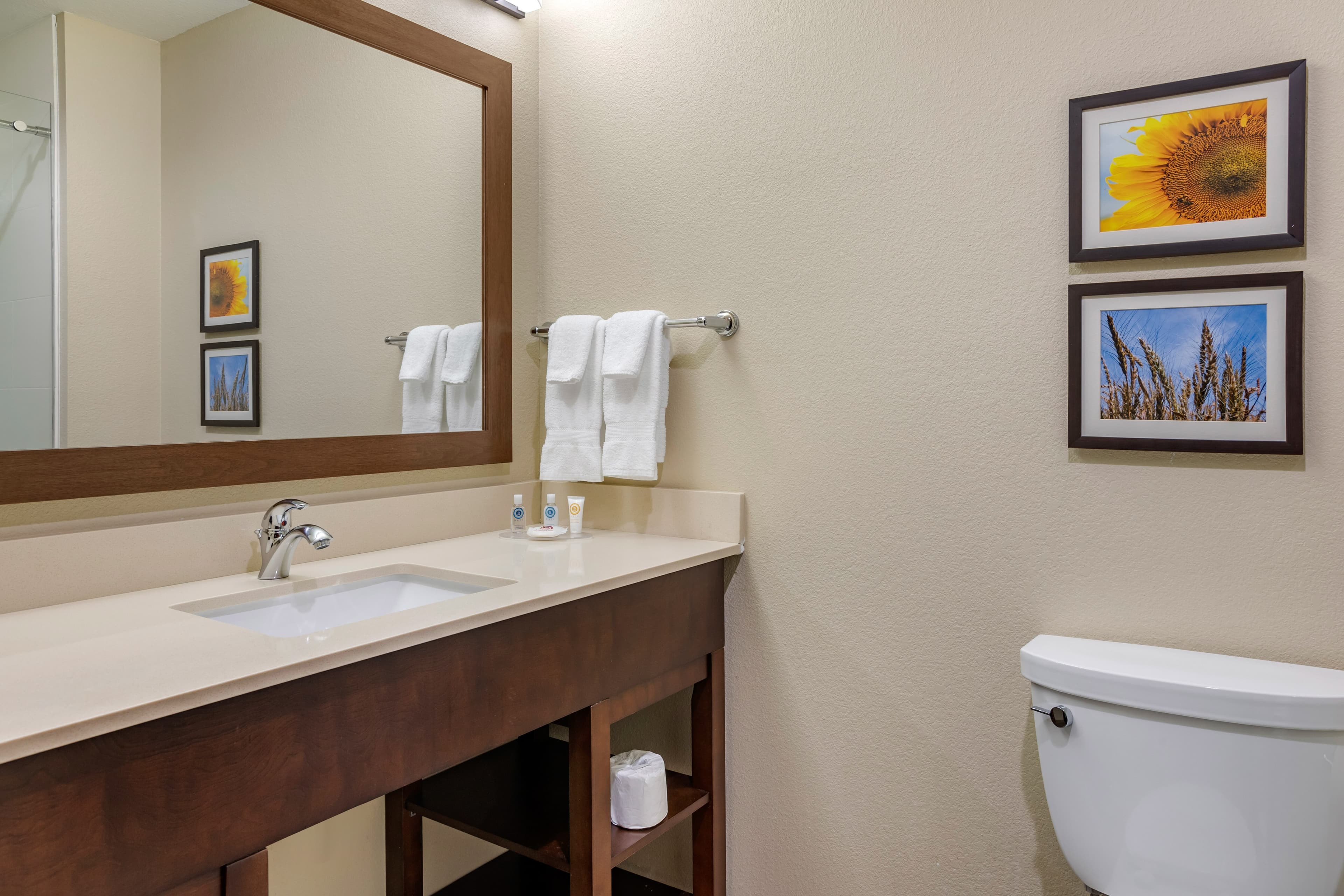 Comfort Inn & Suites Augusta — 17