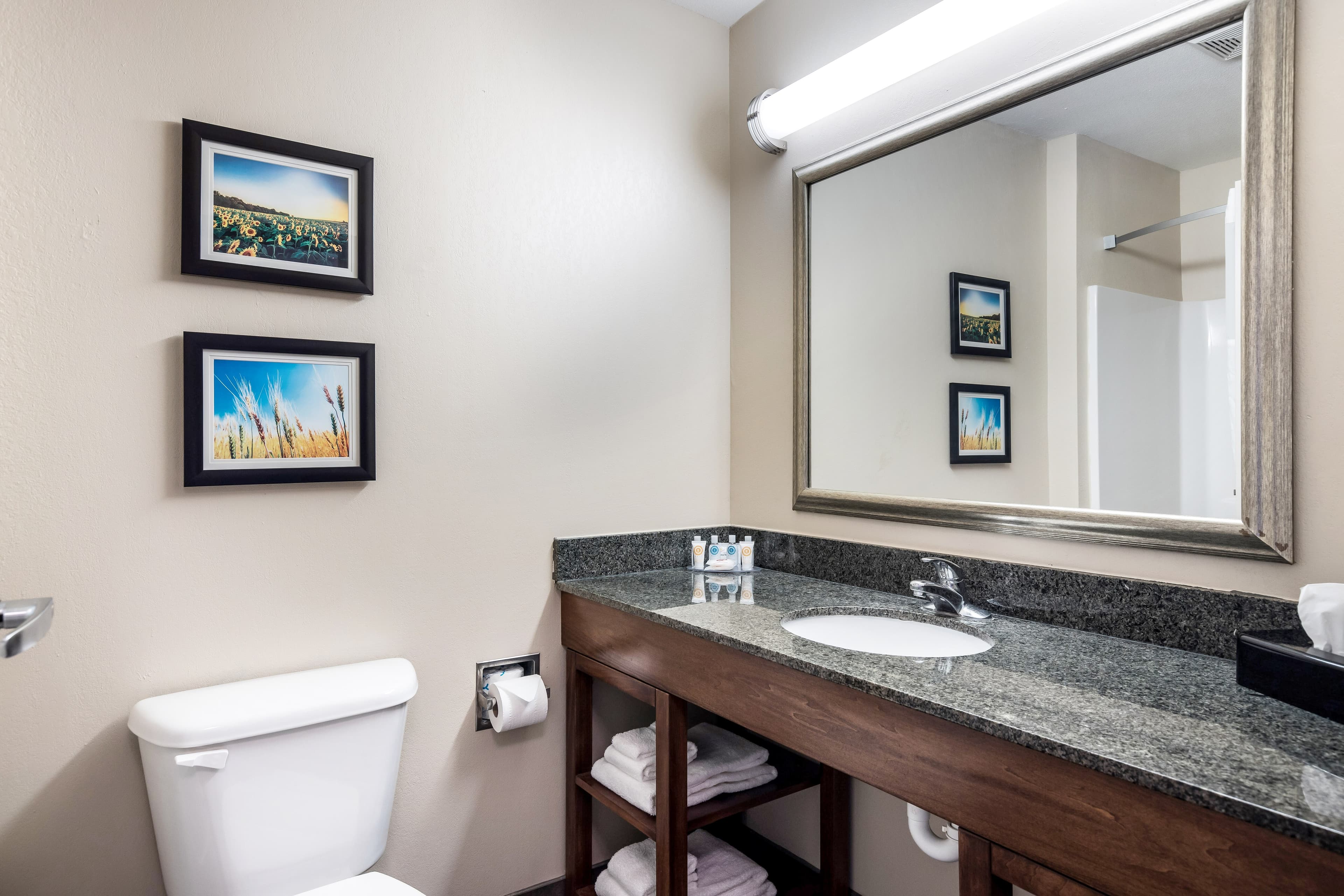 Comfort Inn Bonner Springs Kansas City — 10