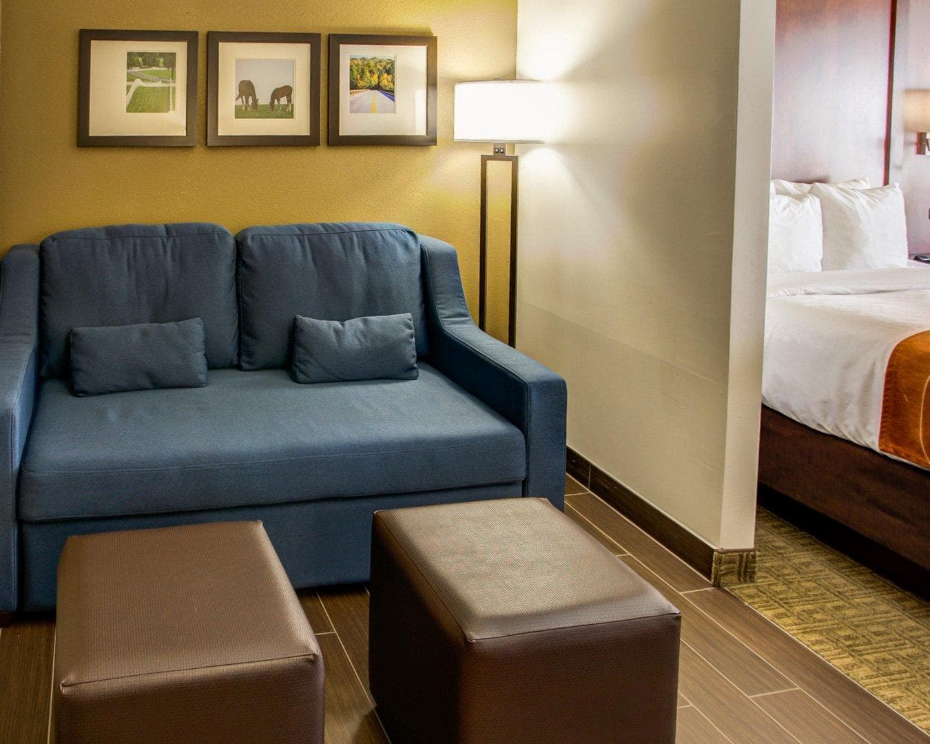 Comfort Suites Georgetown — 17