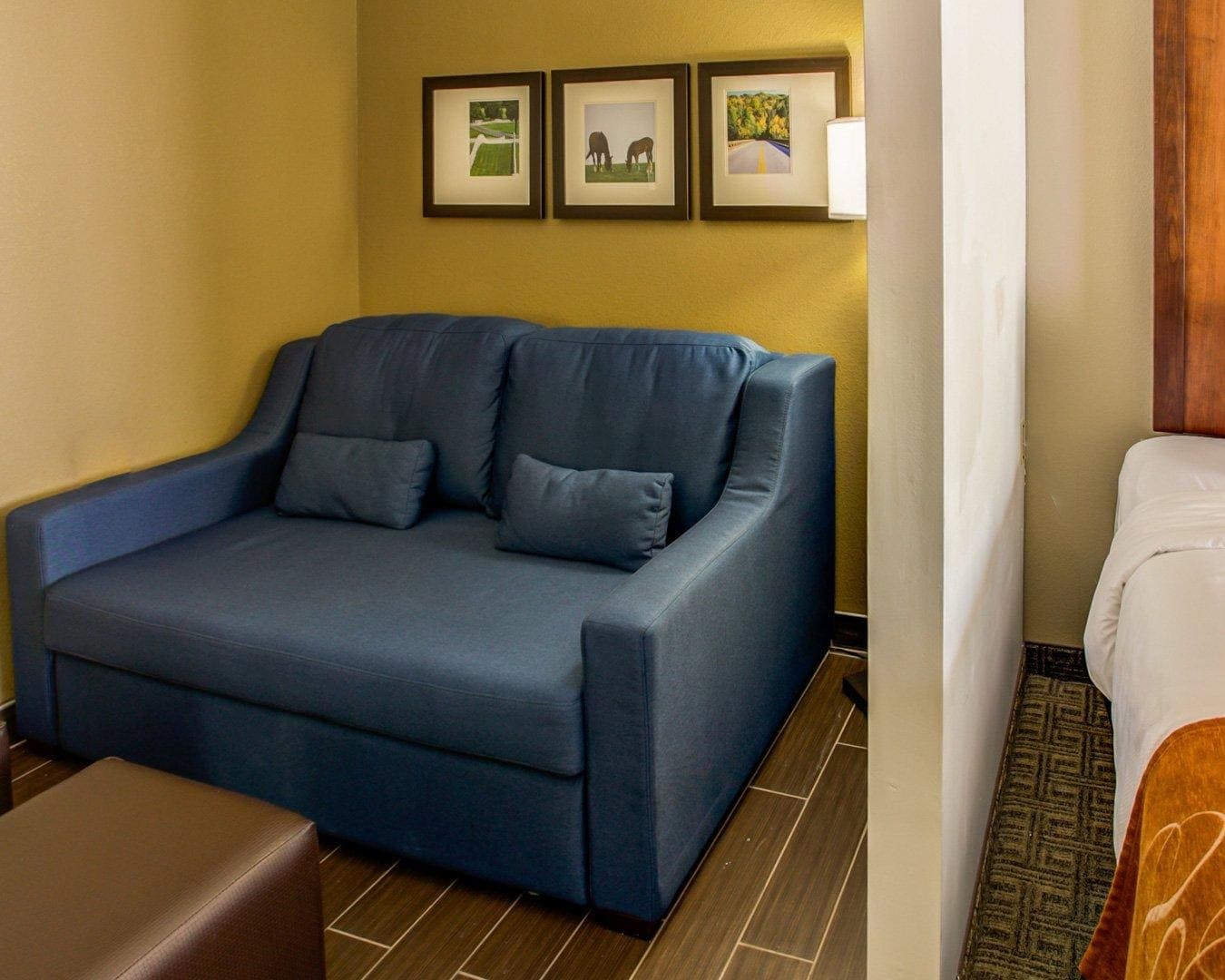 Comfort Suites Georgetown — 18