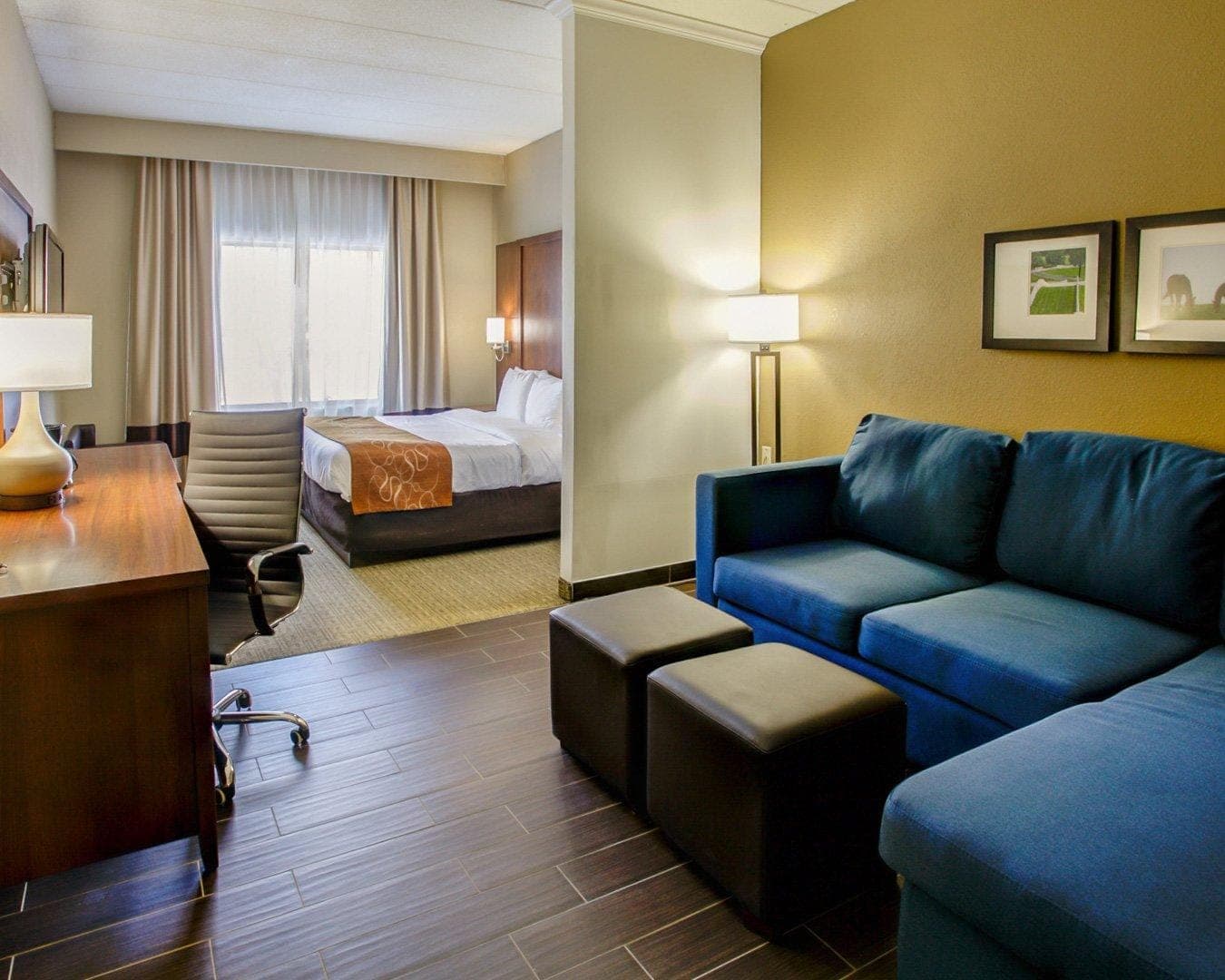 Comfort Suites Georgetown — 10