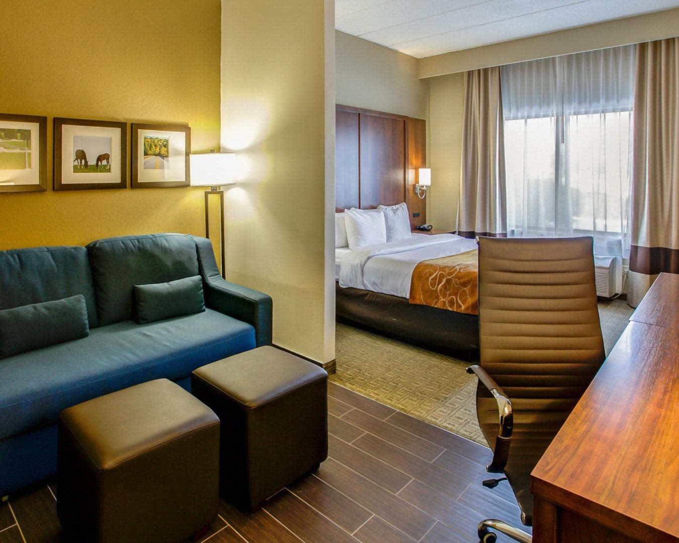 Comfort Suites Georgetown - Image 4