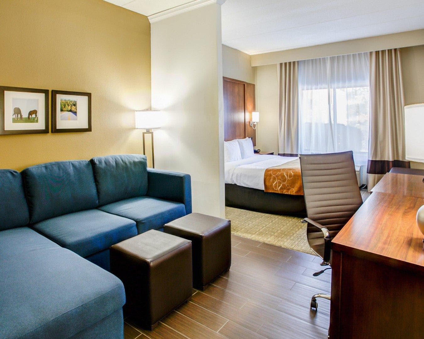 Comfort Suites Georgetown — 24