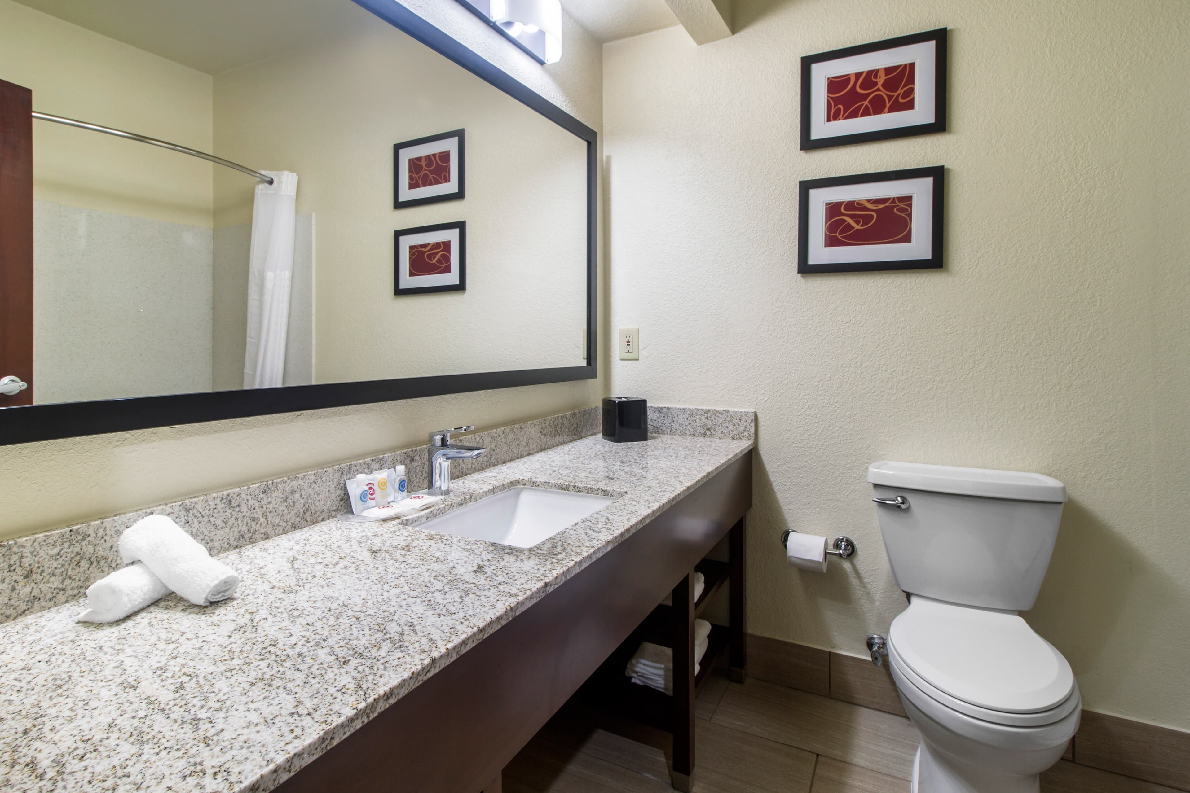 Comfort Suites Danville — 10