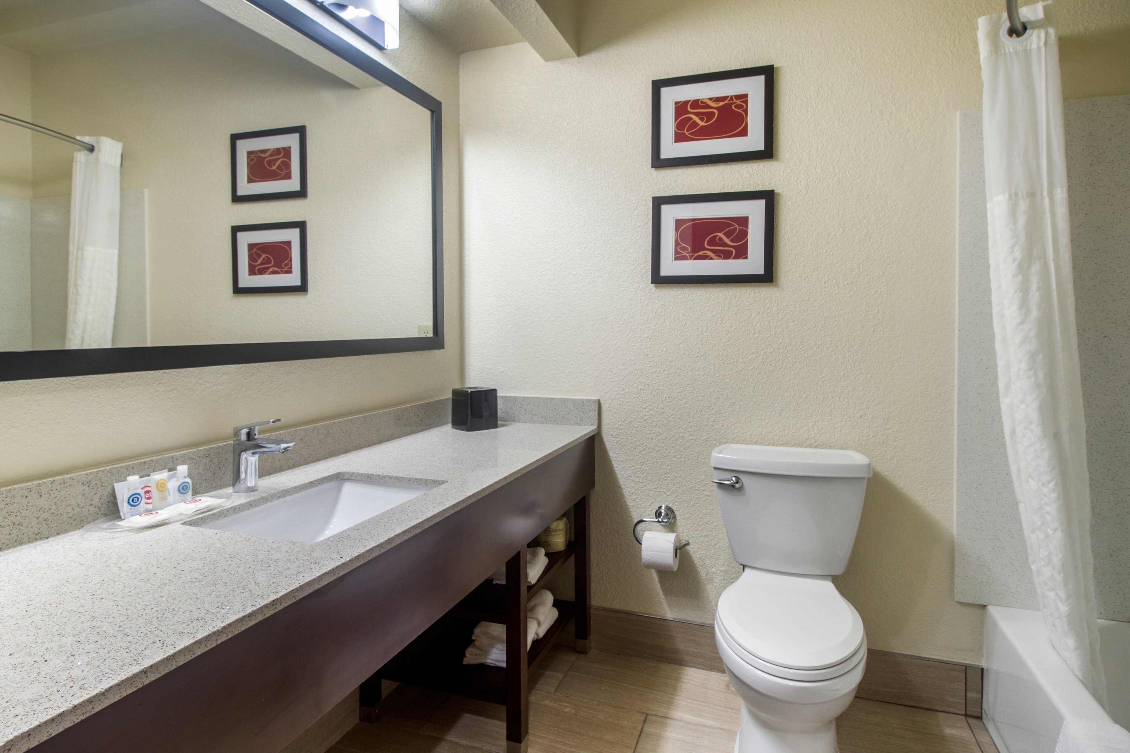 Comfort Suites Danville — 14