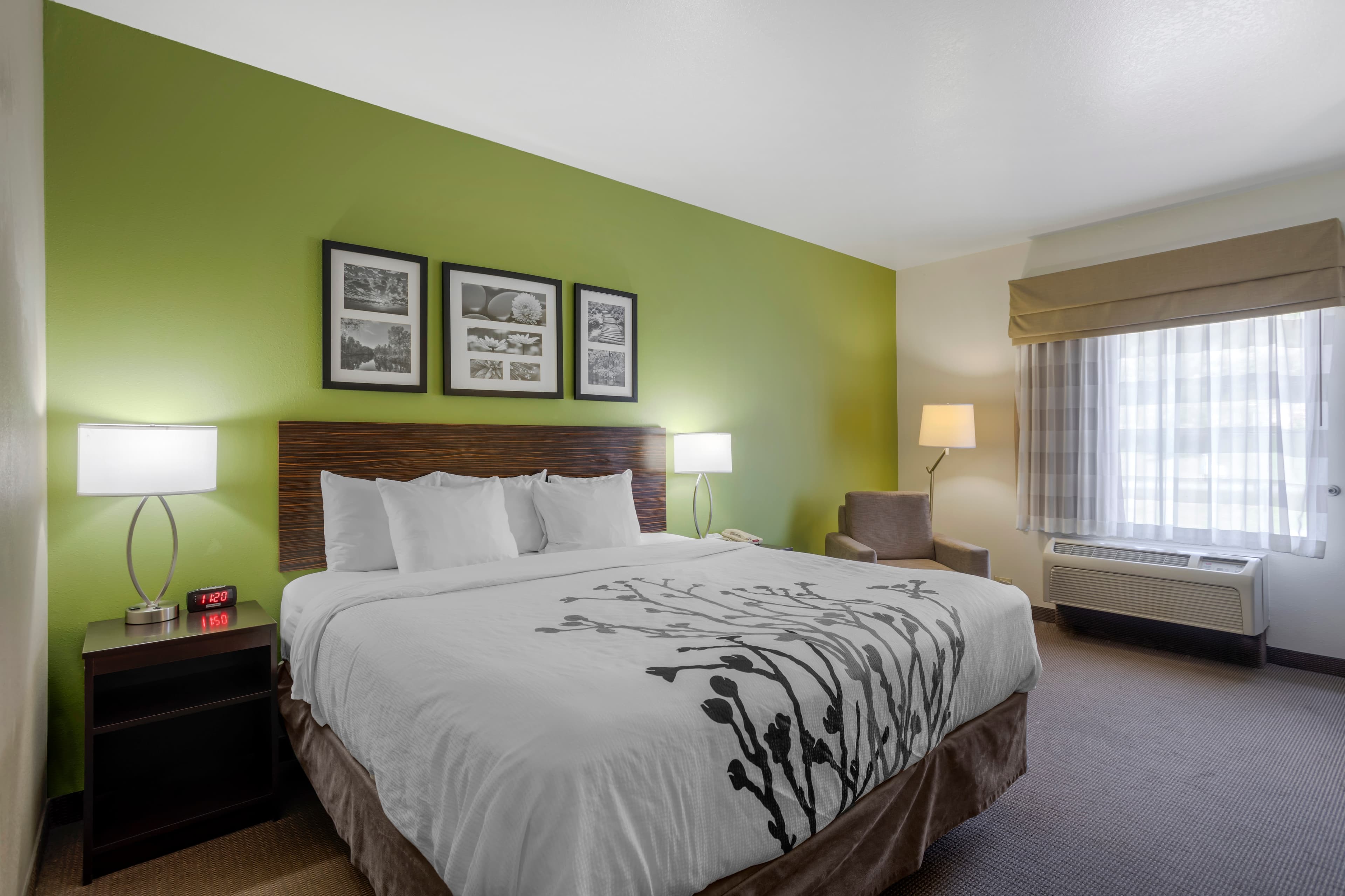 Sleep Inn & Suites Cave City - Image 5