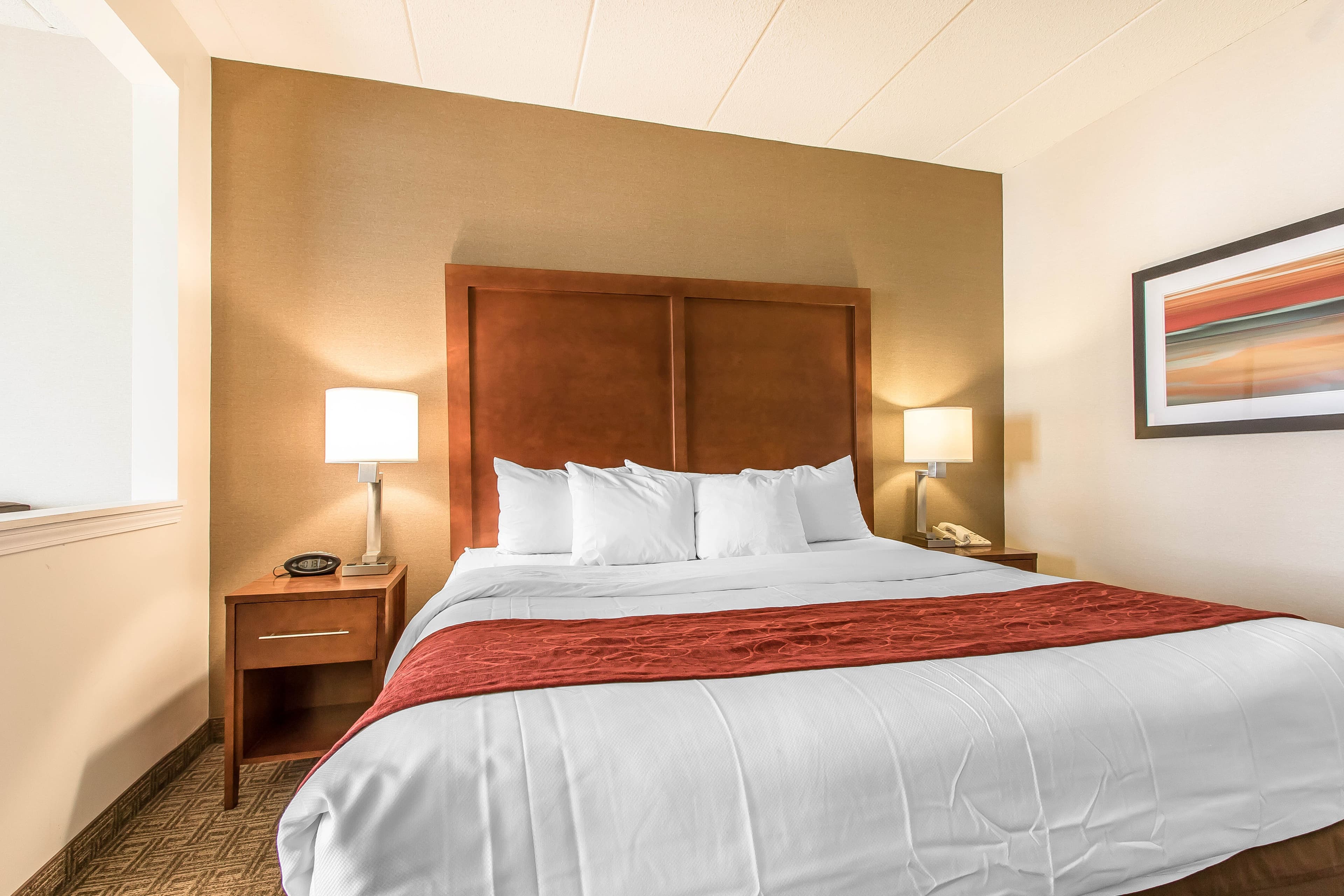 Comfort Suites Richmond - Image 5