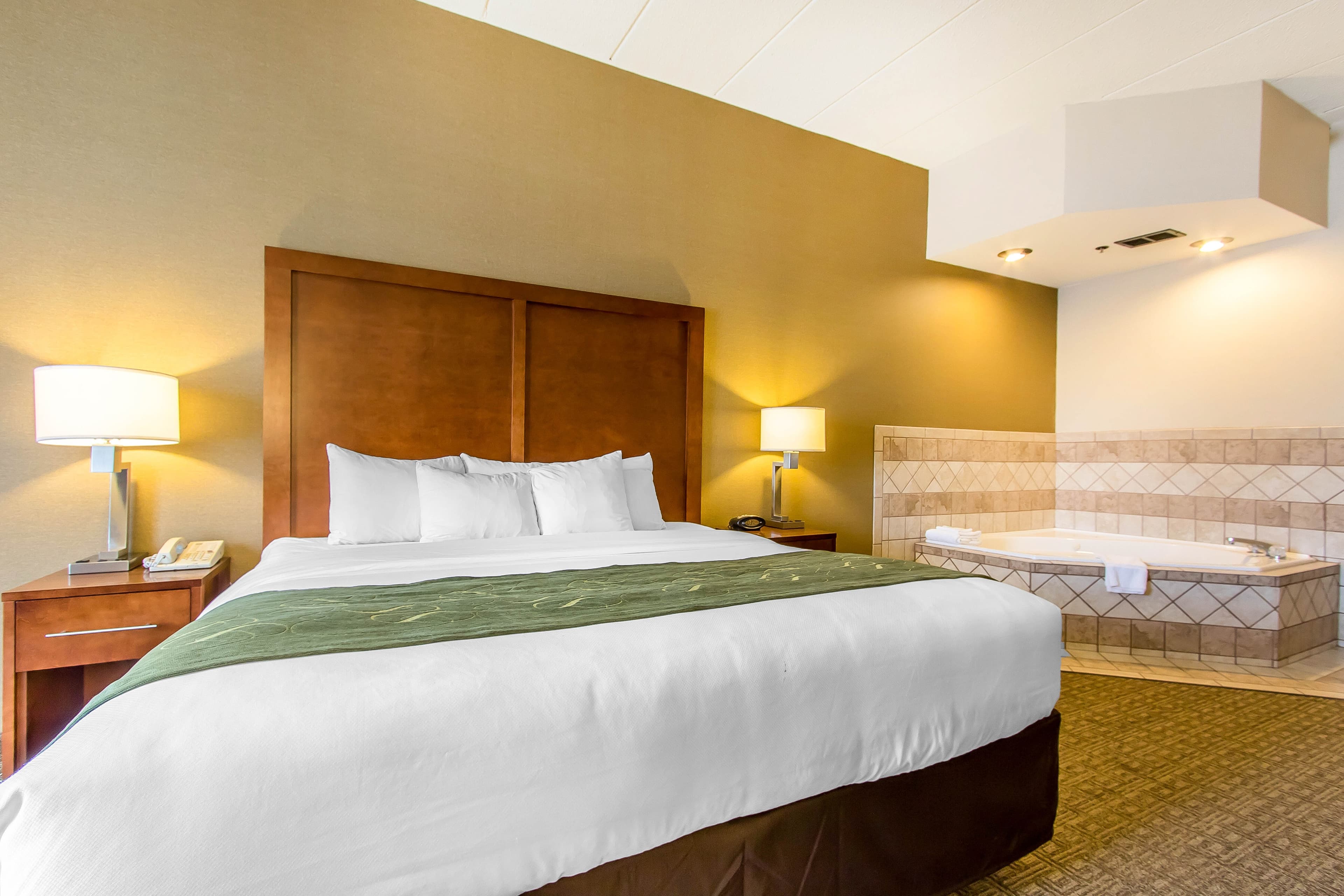 Comfort Suites Richmond — 28