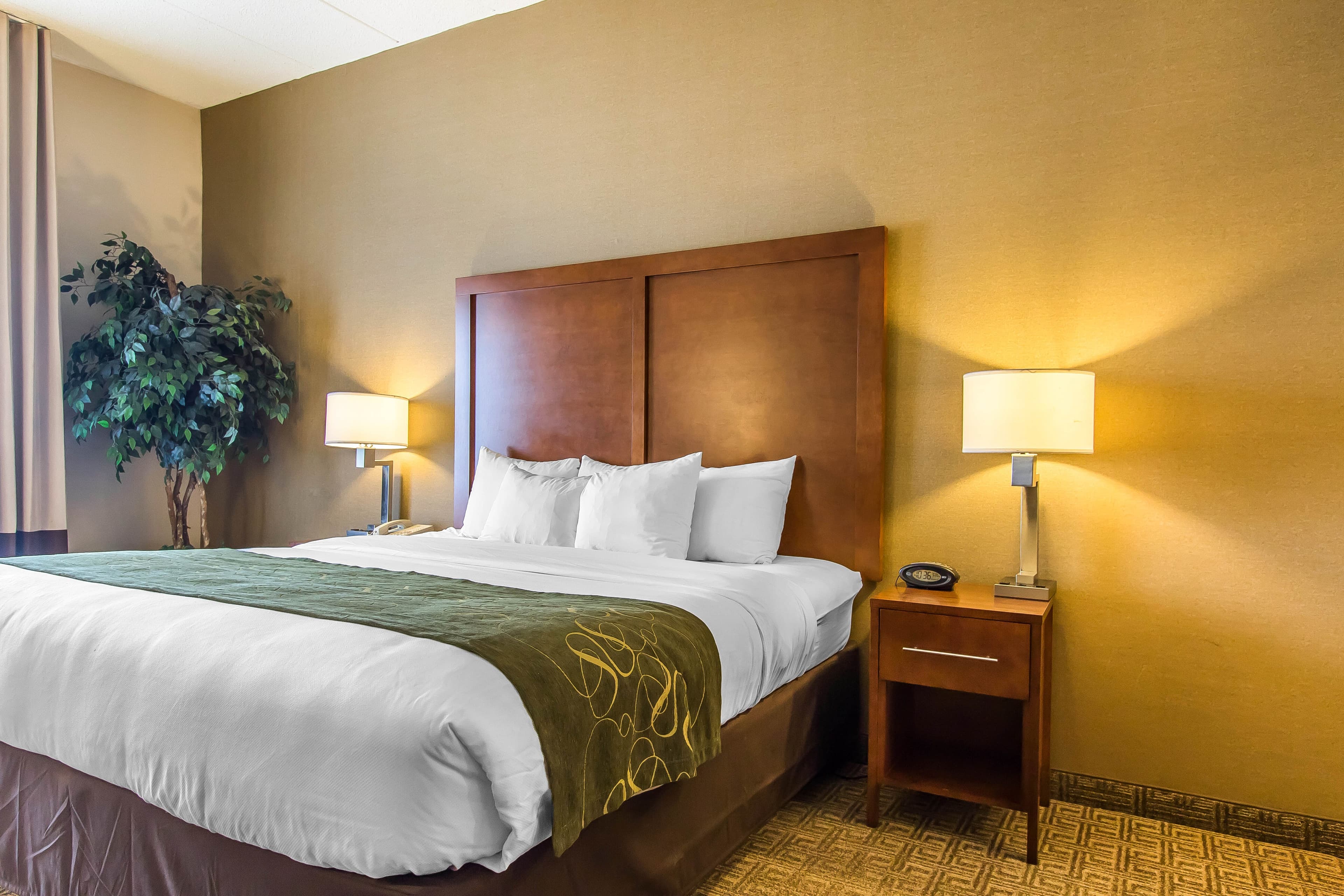 Comfort Suites Richmond — 30