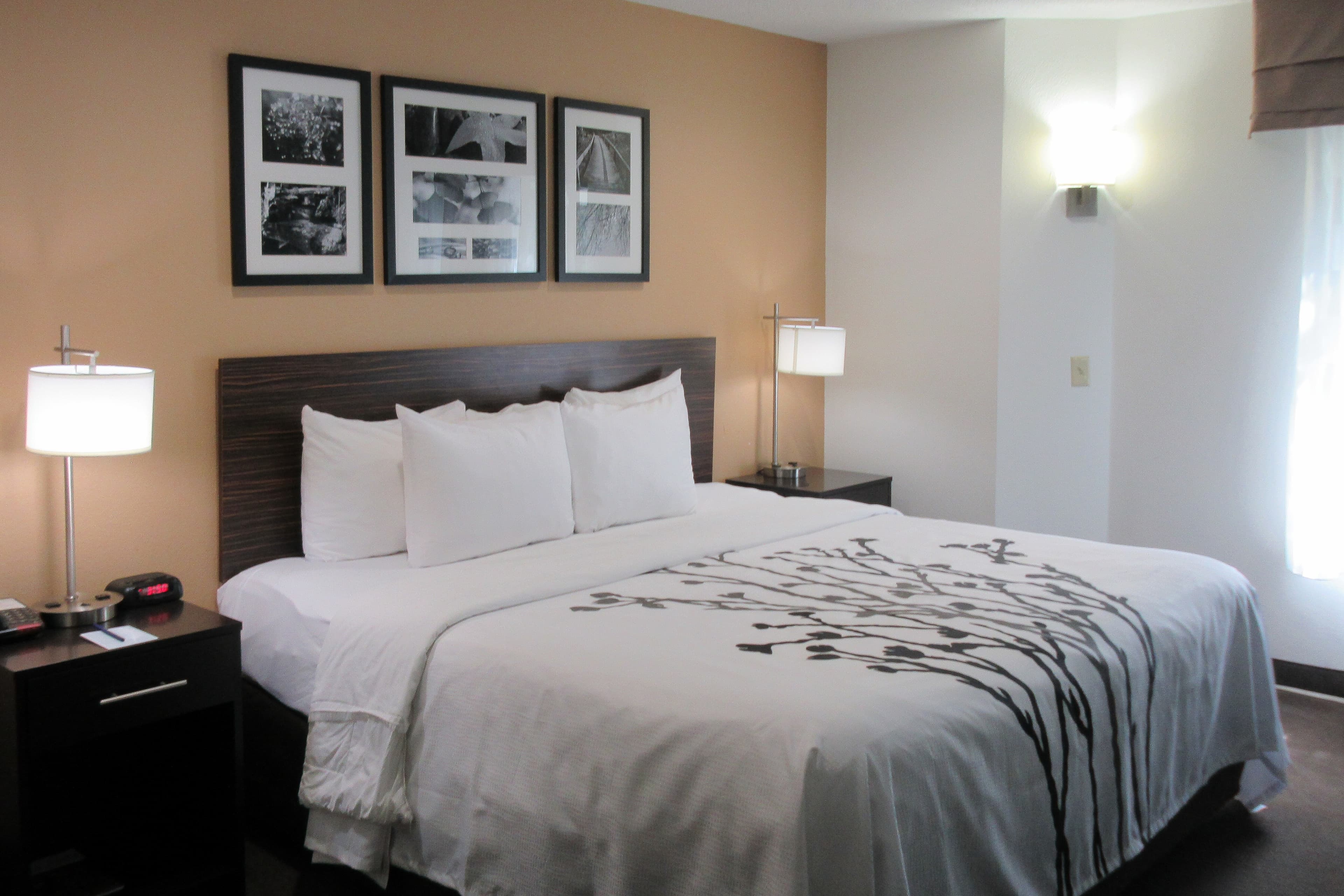 Sleep Inn - Image 1