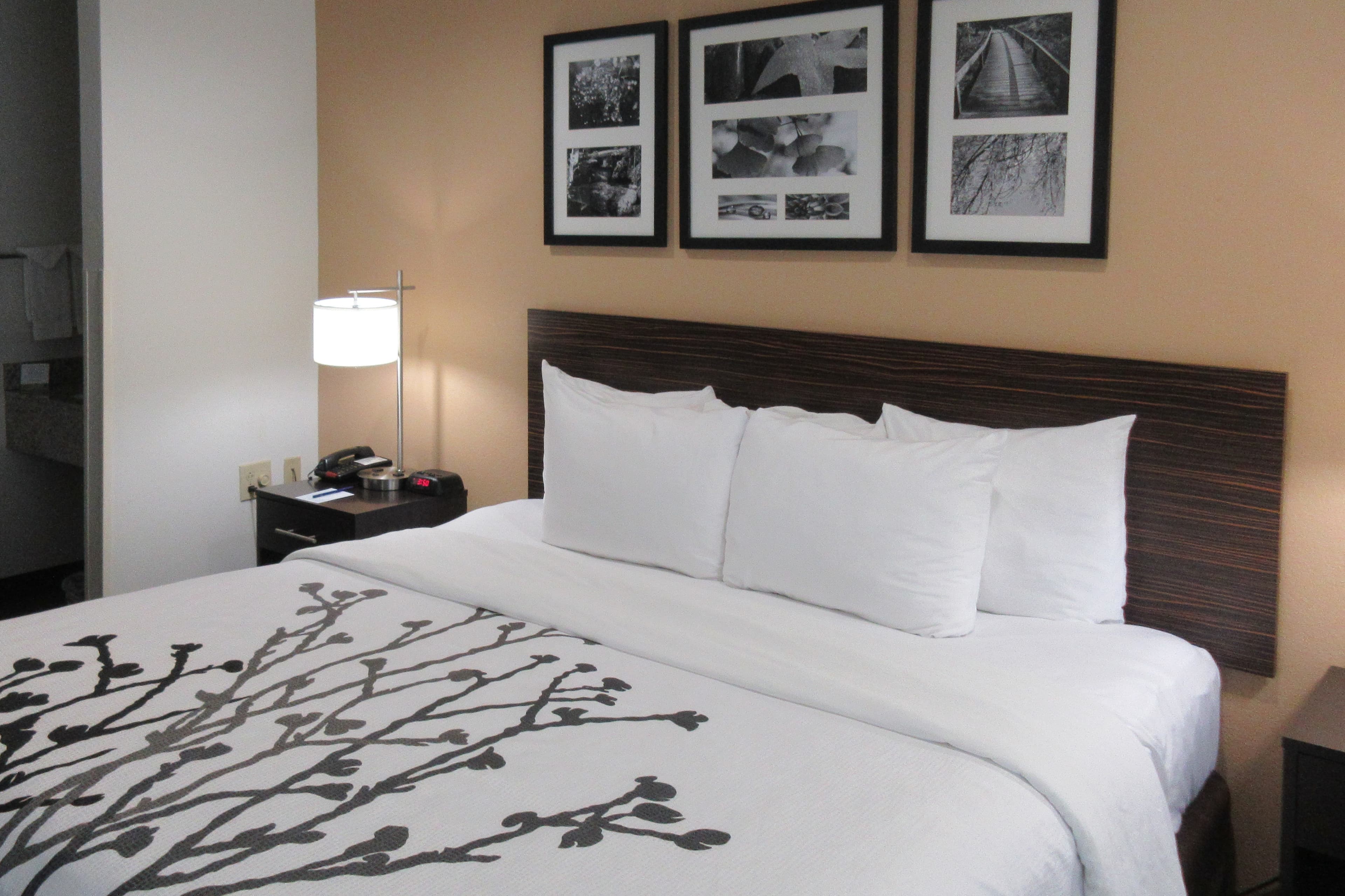 Sleep Inn - Image 4