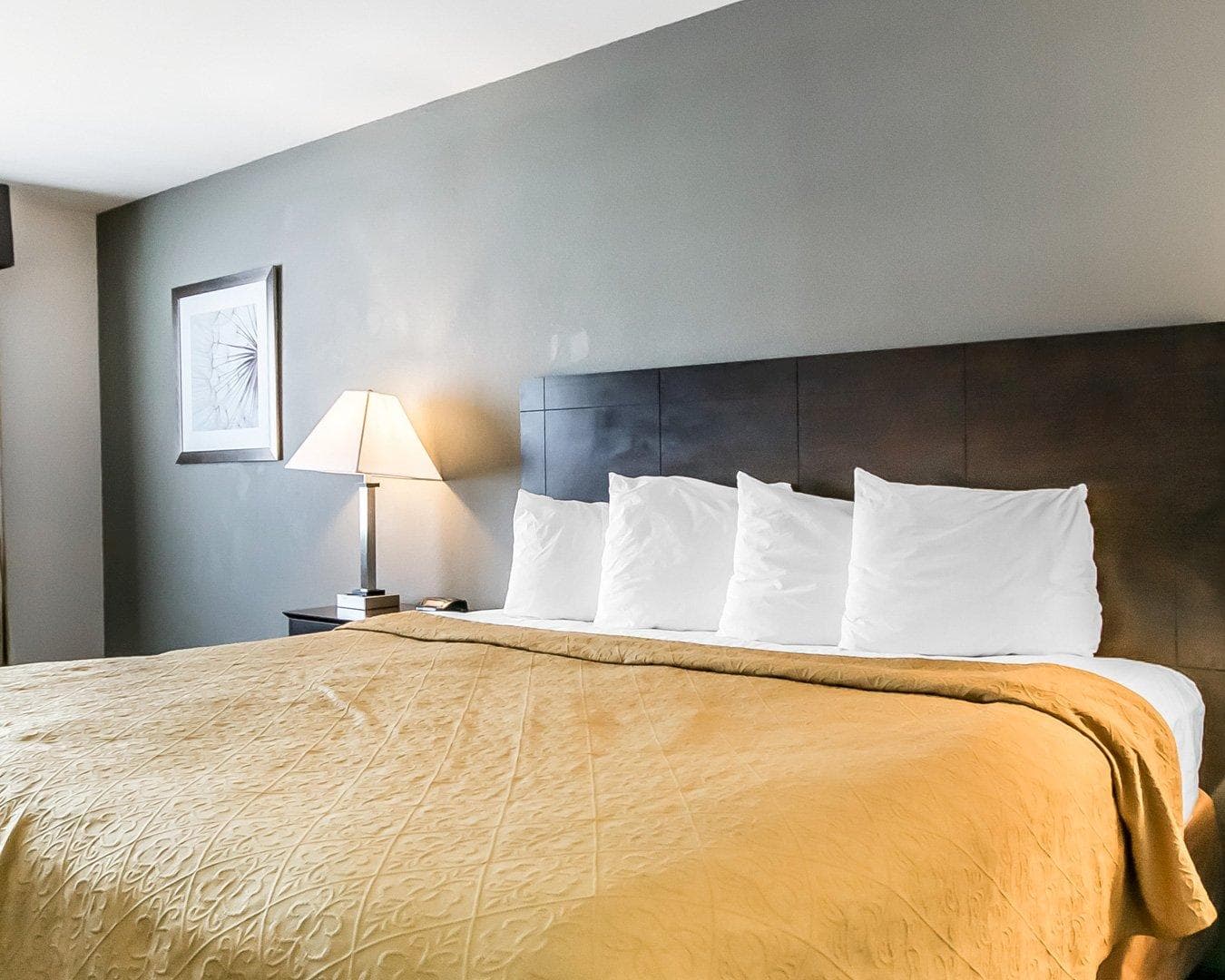 Quality Inn & Suites University/Airport - Image 1