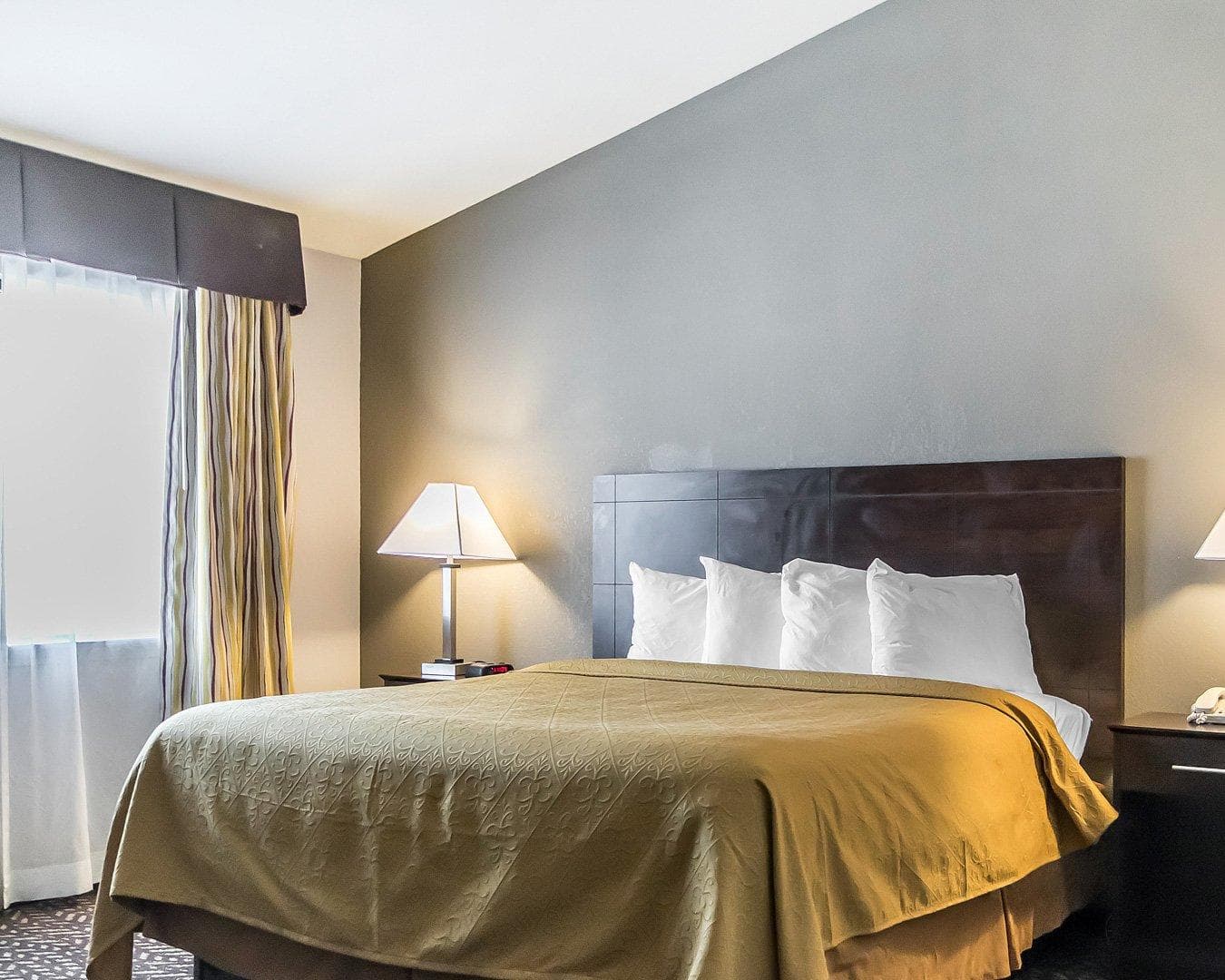 Quality Inn & Suites University/Airport — 19
