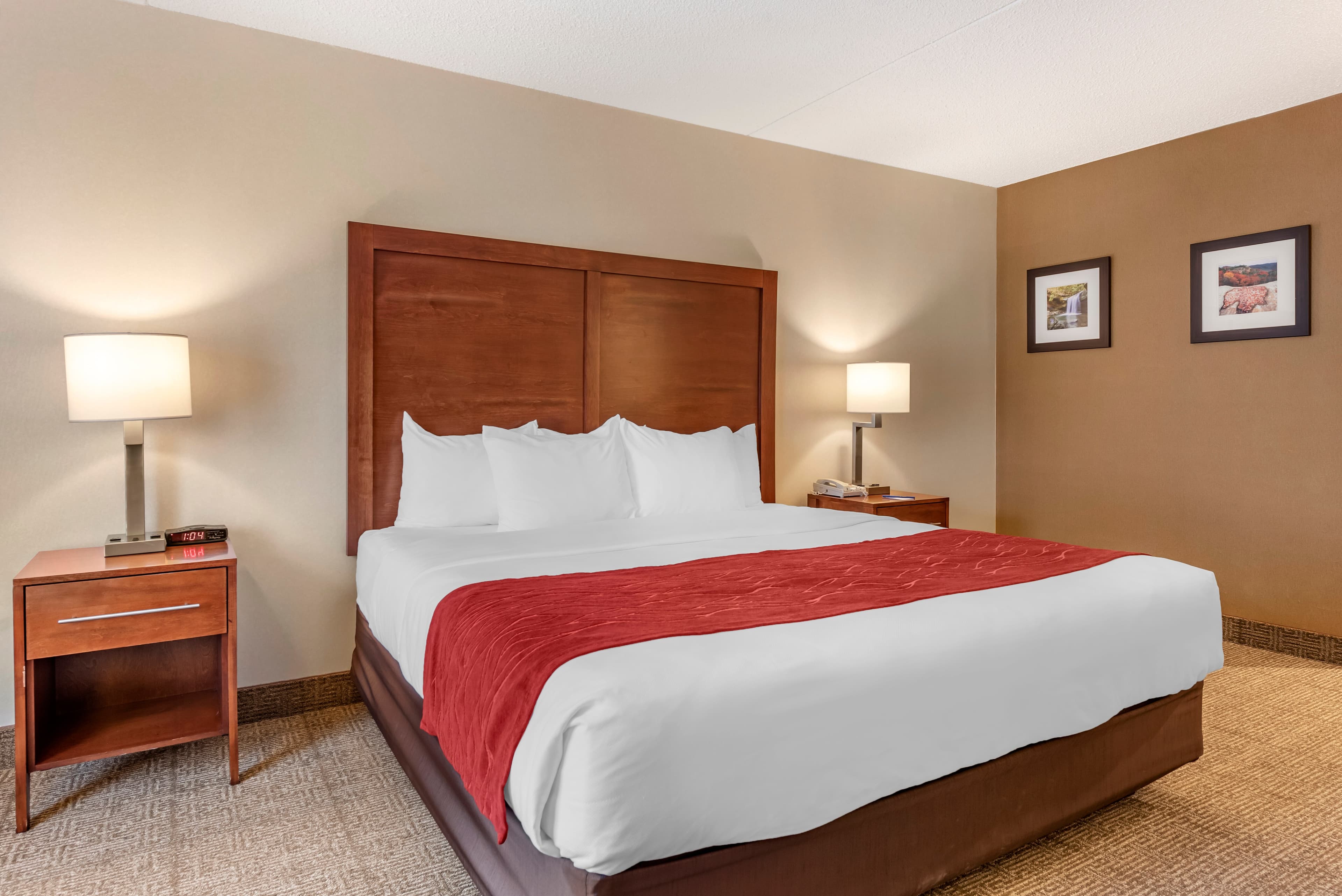 Comfort Inn & Suites Morehead - Image 2