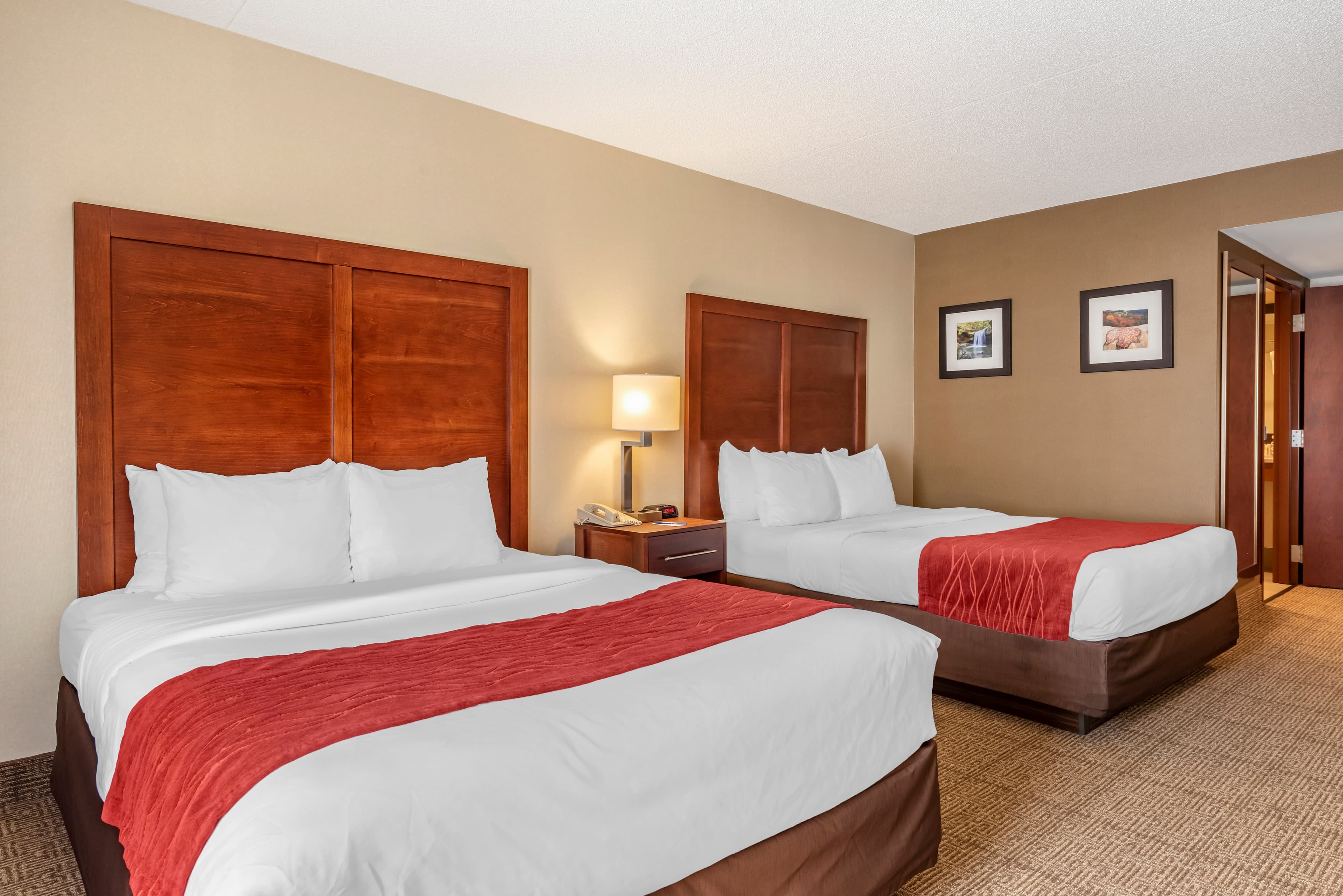 Comfort Inn & Suites Morehead - Image 1