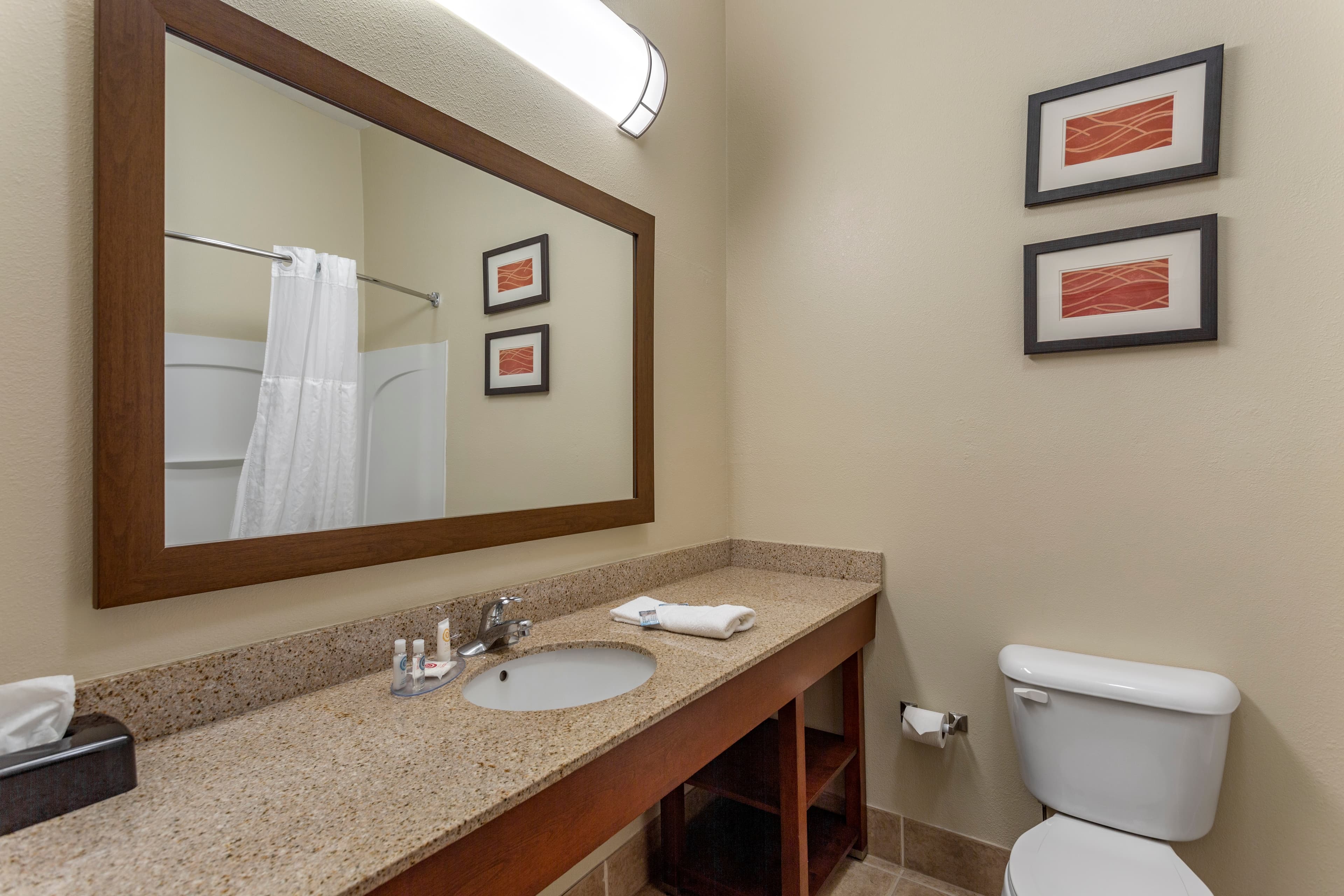 Comfort Inn & Suites Cave City — 8