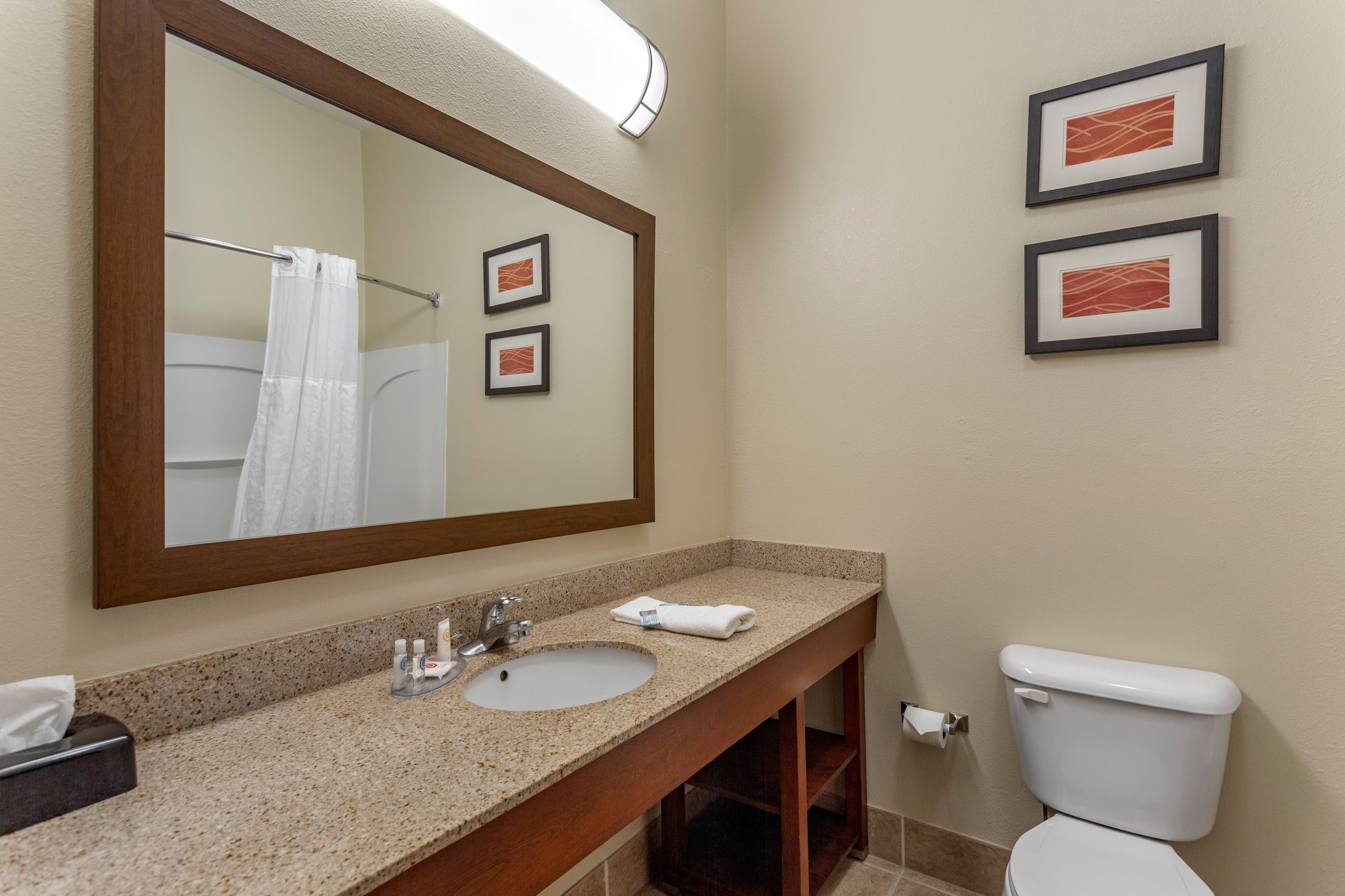 Comfort Inn & Suites Cave City — 12