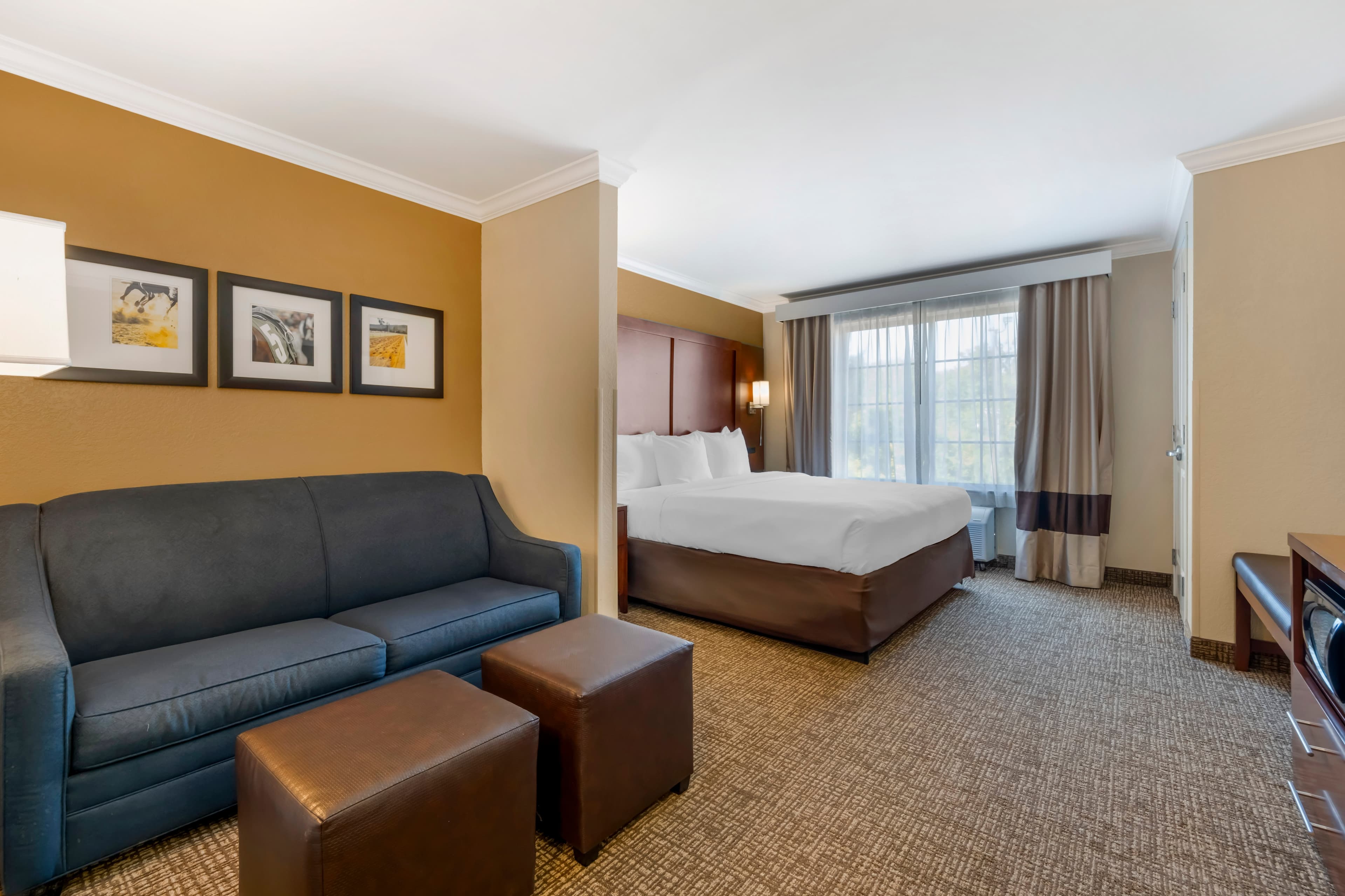 Comfort Suites Elizabethtown - Image 2