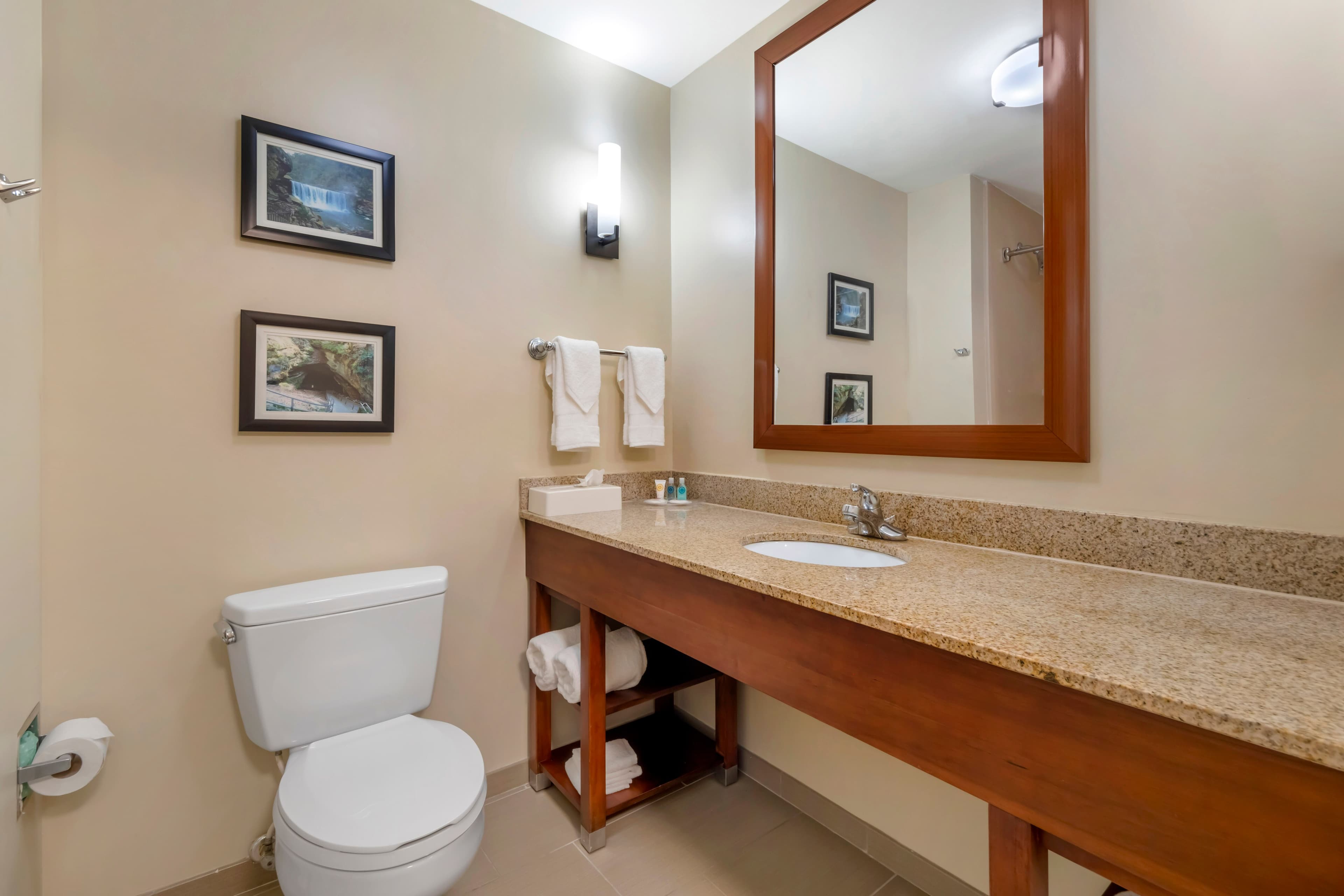 Comfort Suites Elizabethtown — 21