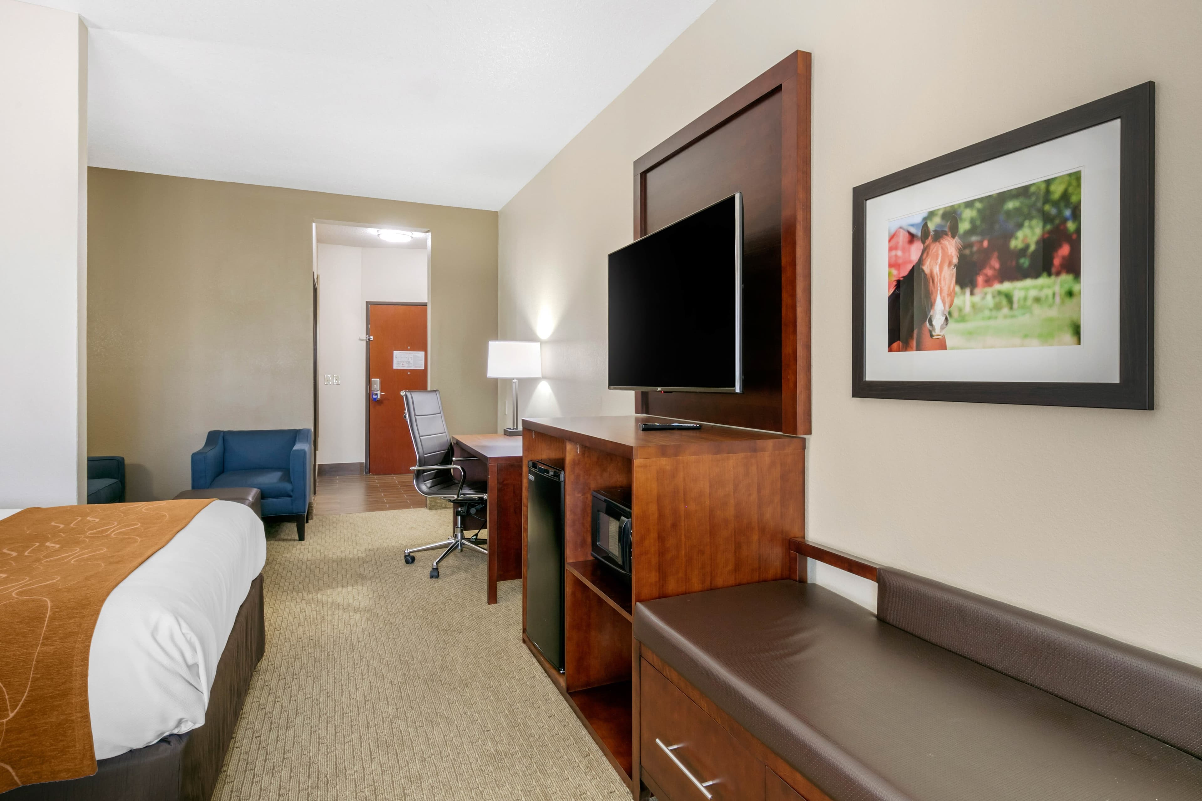 Comfort Suites Hopkinsville near Fort Campbell - Image 4