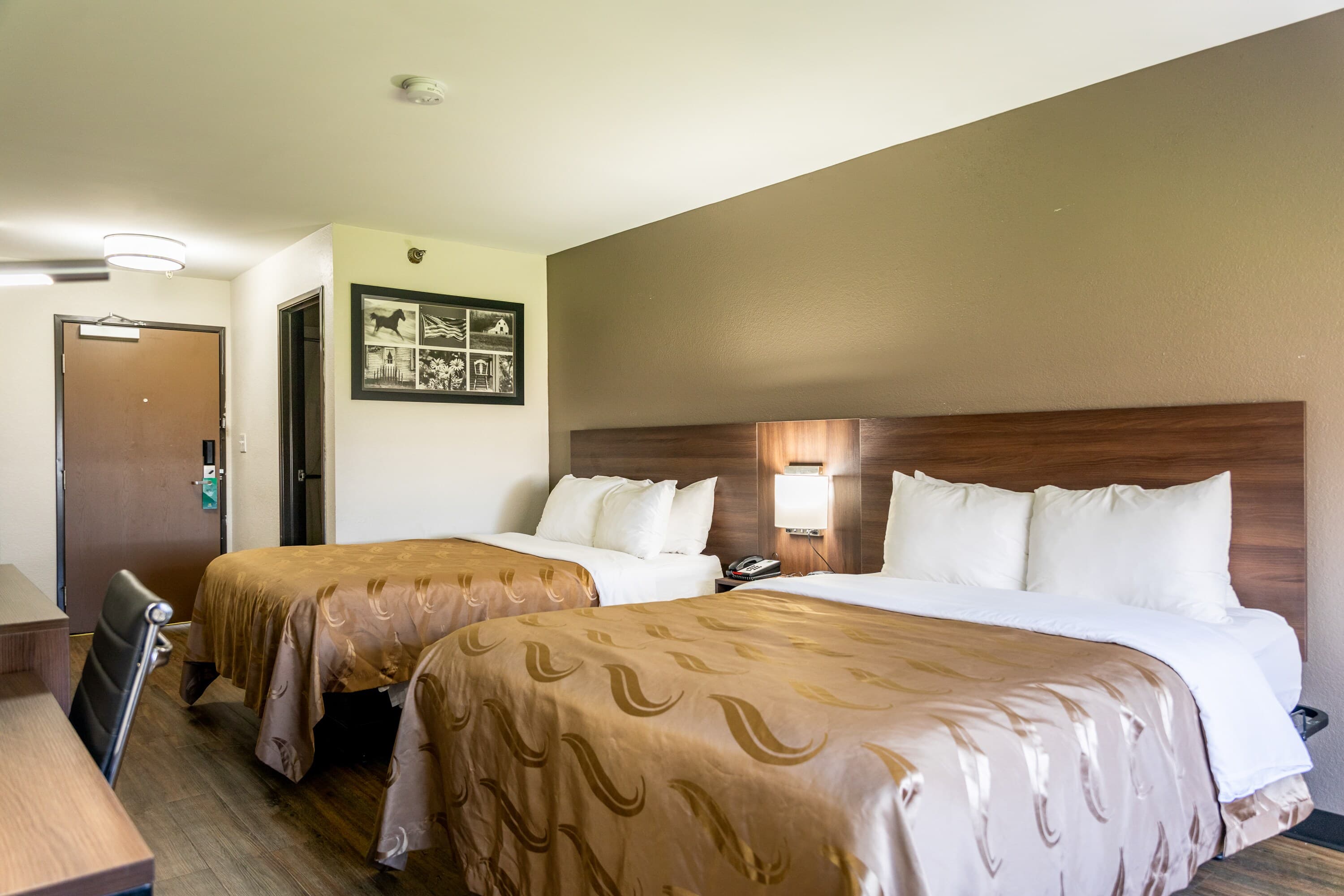 Quality Inn Carrollton — 11